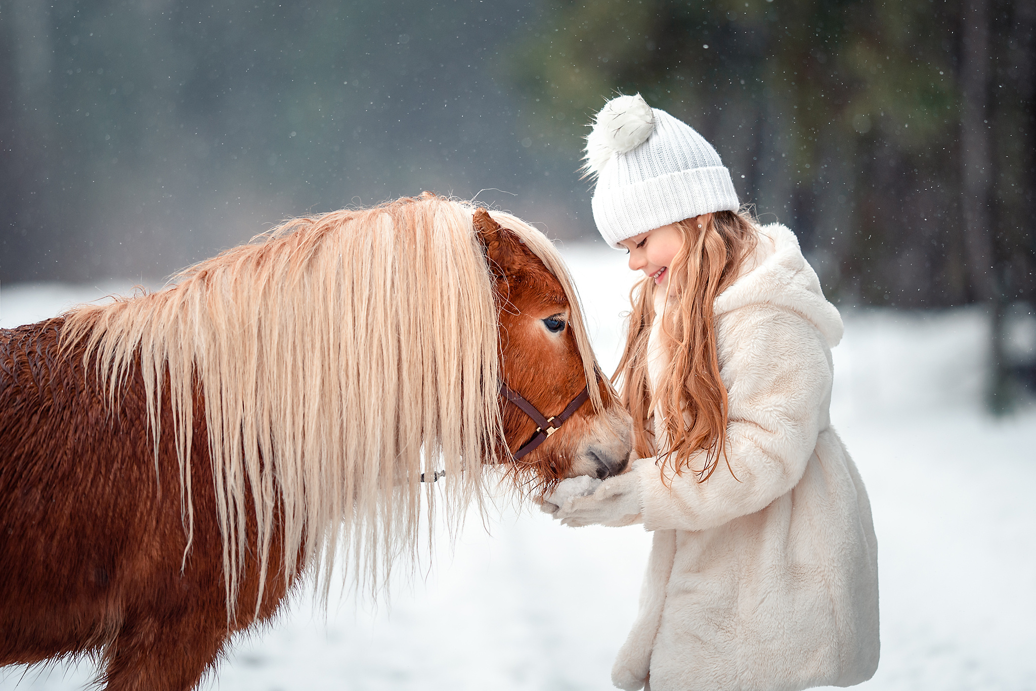 Джулия и пони "Гиви"