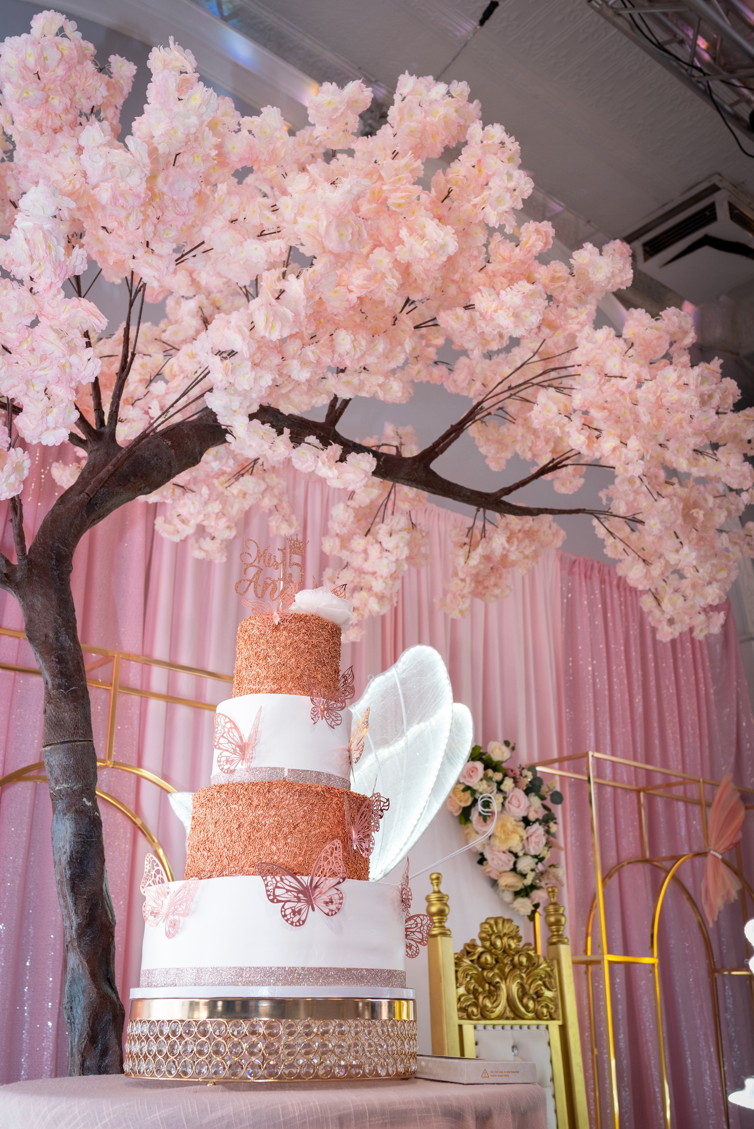 Colección: Nataly Mis Quince años