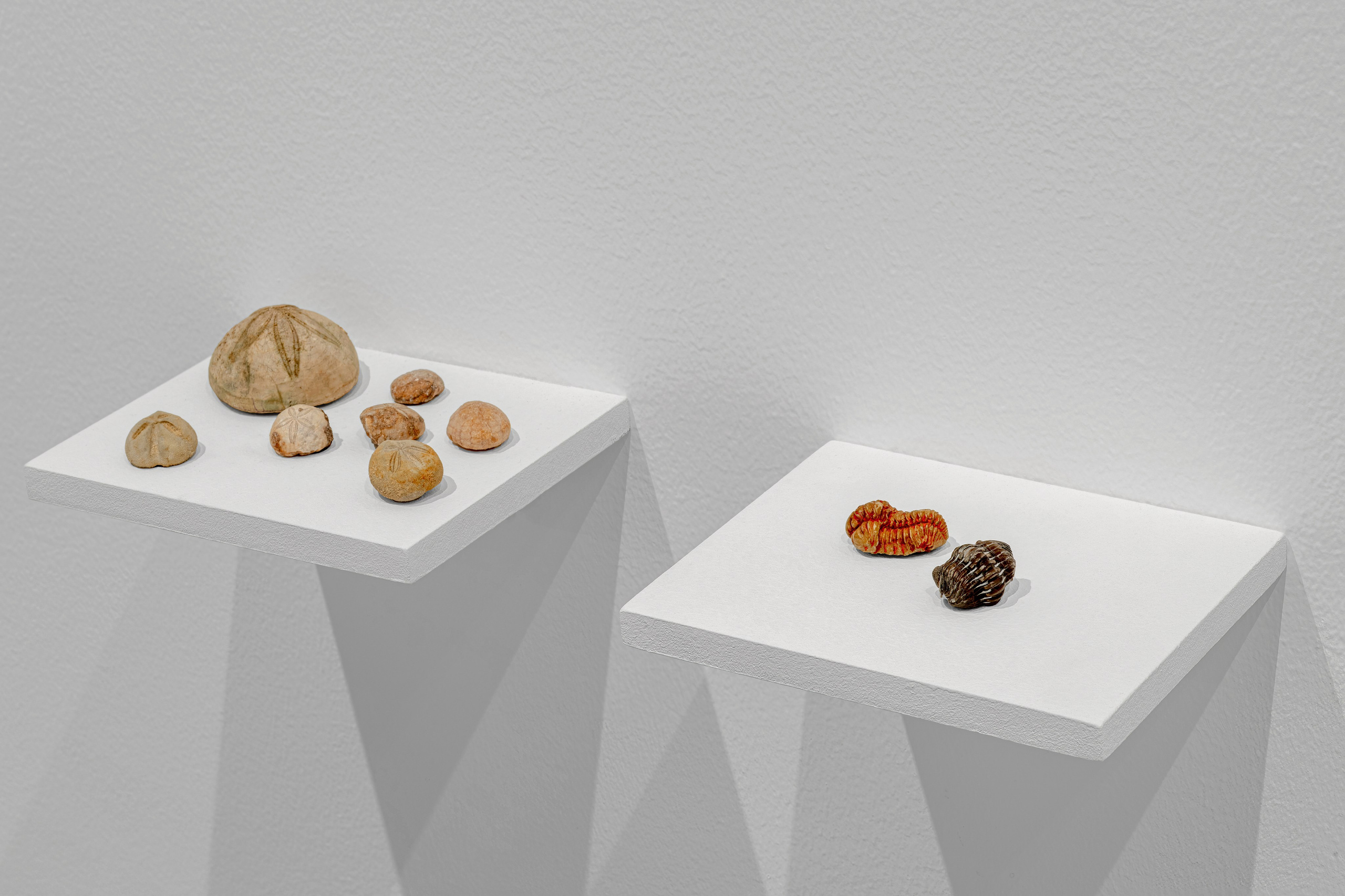 Nika Project Space “Beghost”