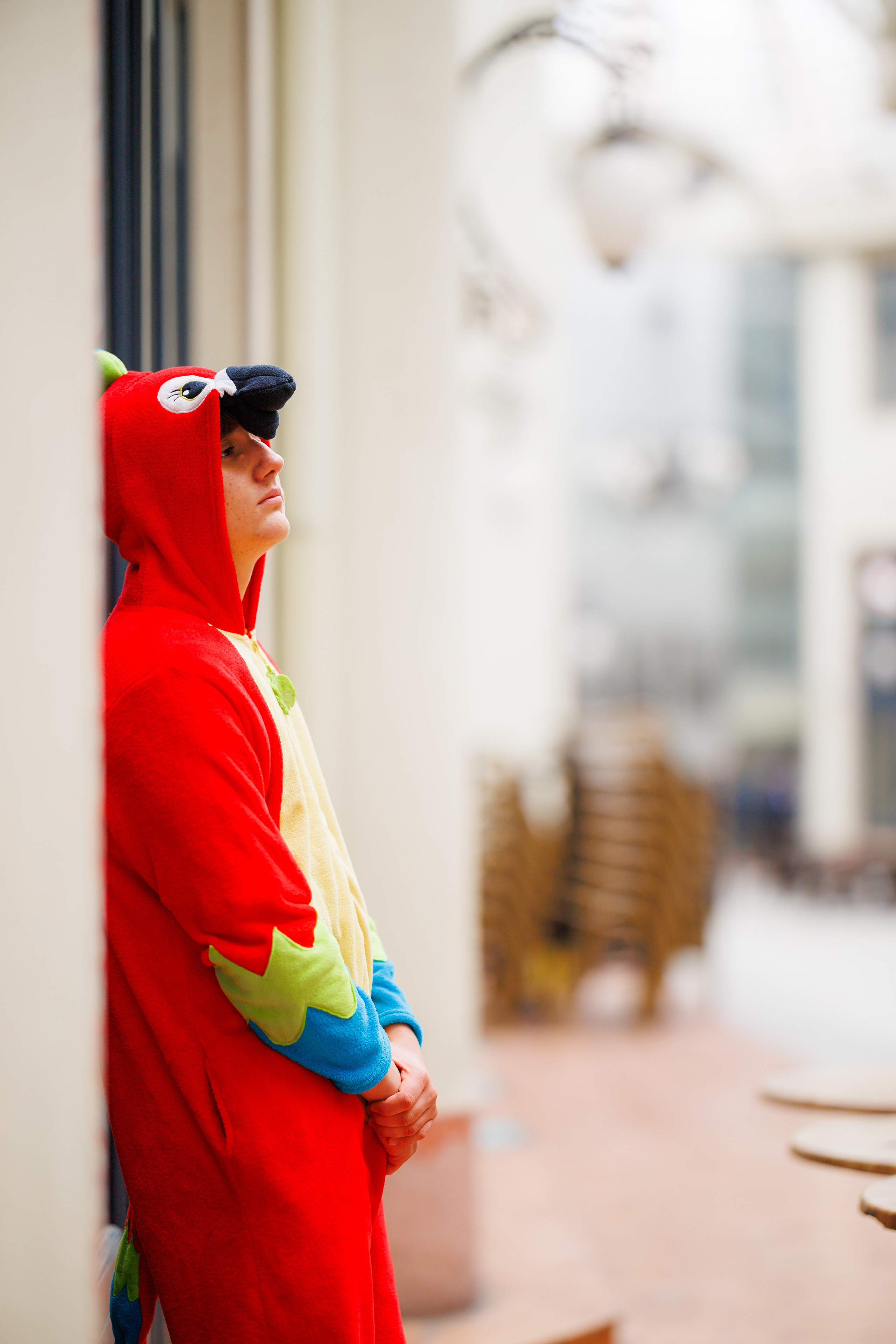 Oradea Extra transport. Trendy Albums