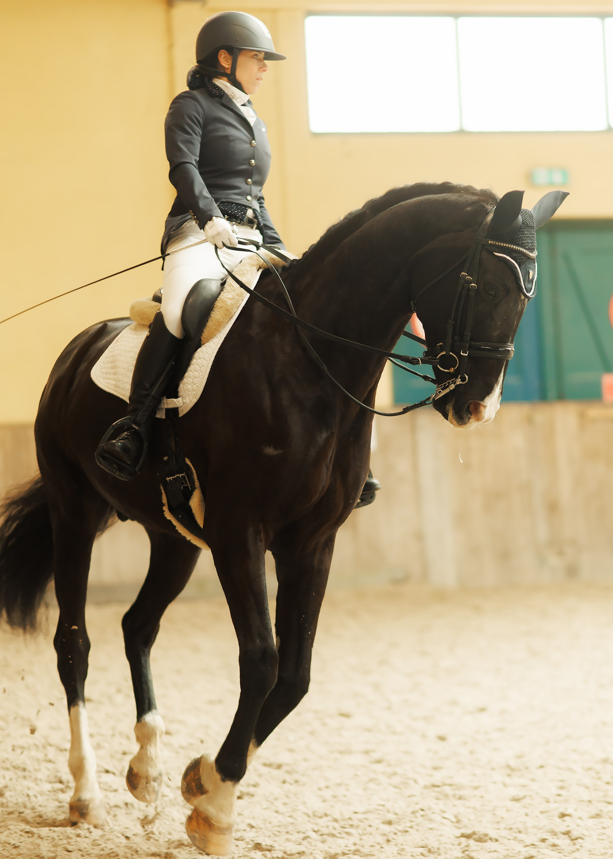 Partynice dressage \ feb'25. Kaja | fotograf we Wrocławiu | ludzie i psy