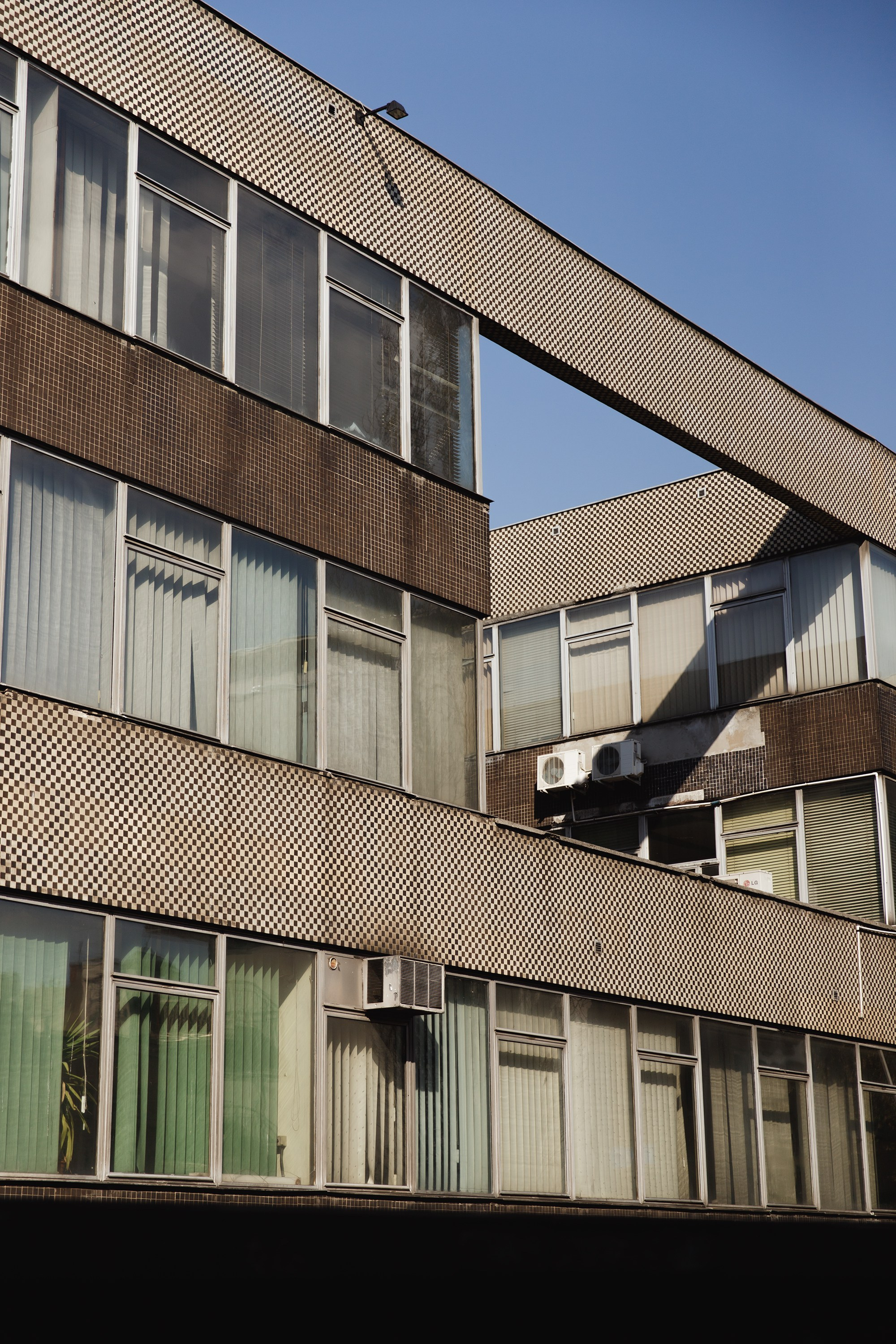 Wroclaw | the best ones. Kaja | fotograf psów we Wrocławiu