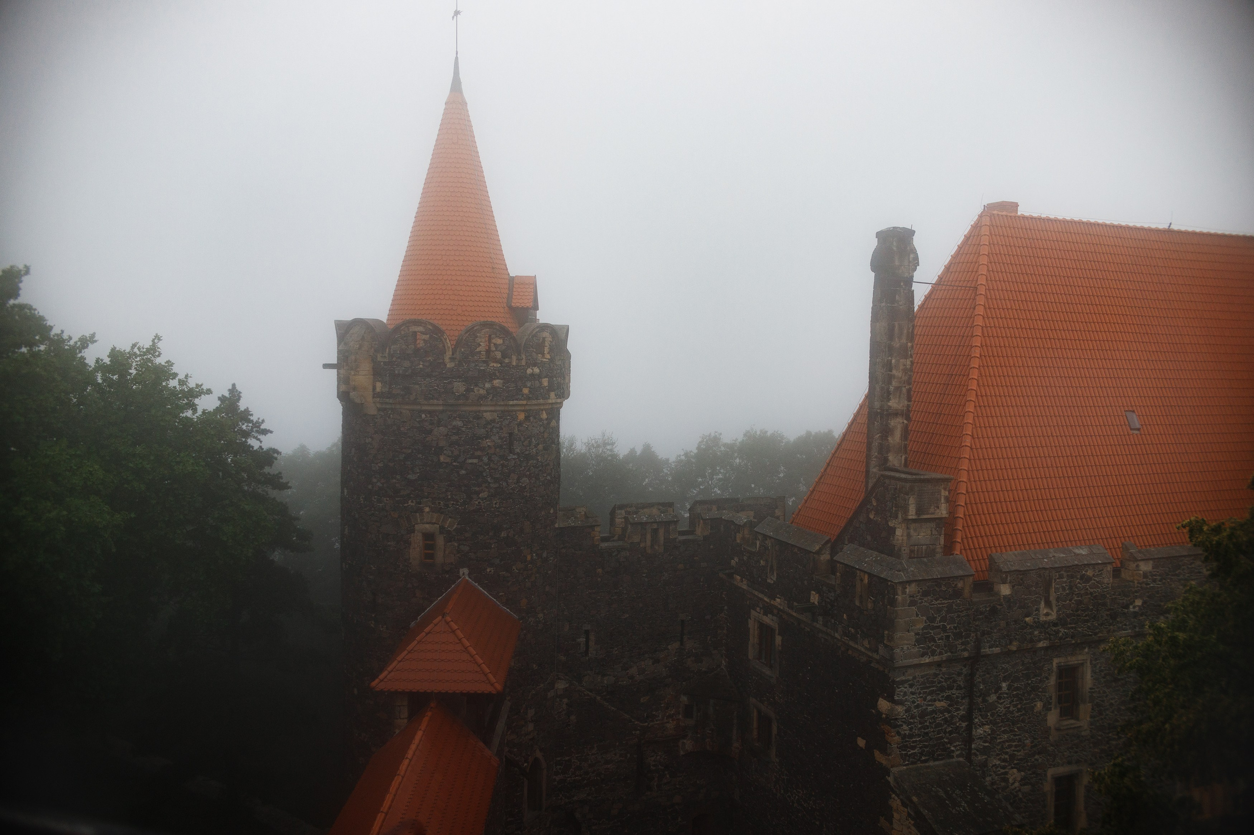 Zamek Grodziec. Kaja | fotograf psów we Wrocławiu