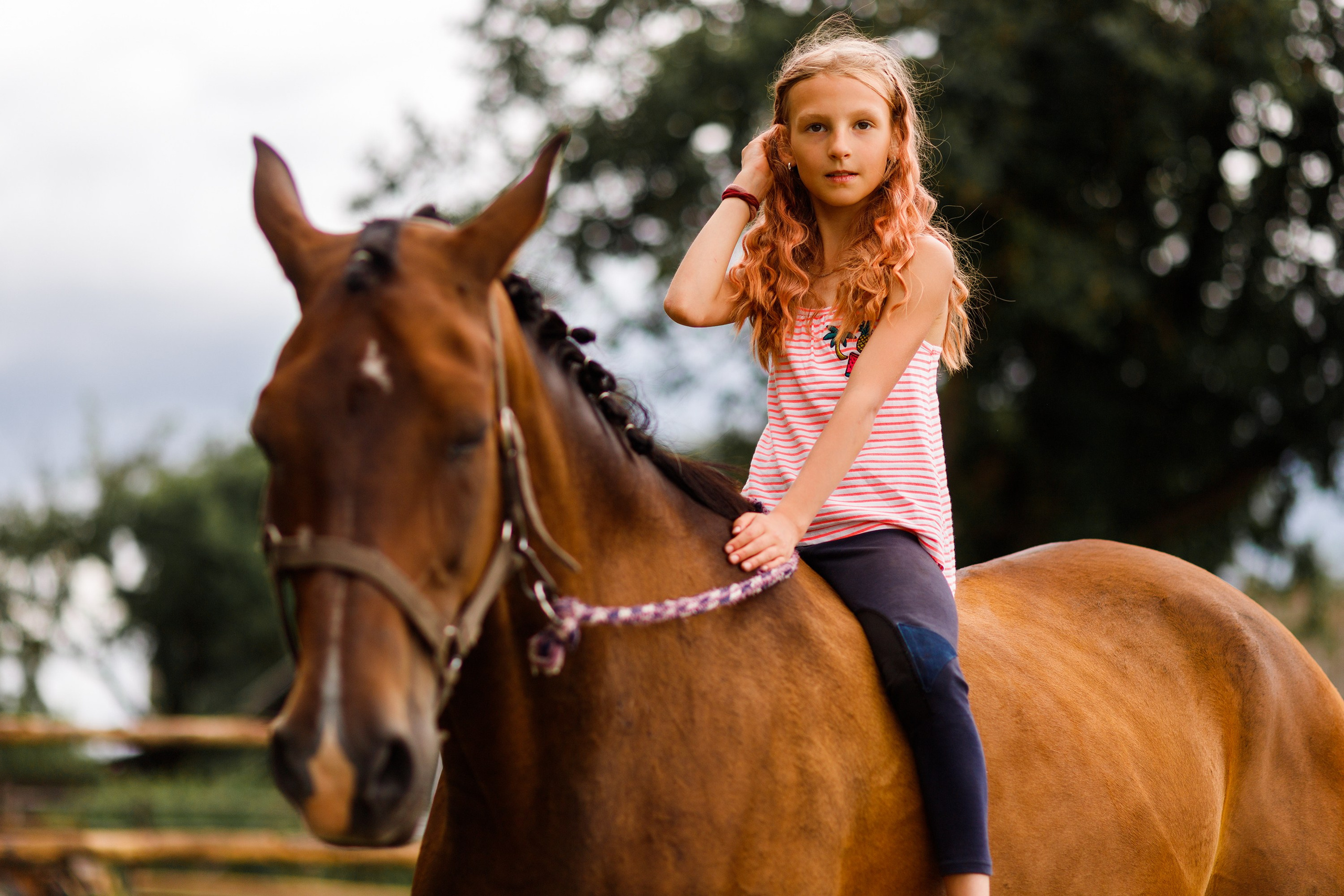 Girls & horses, summer. Kaja | fotograf psów we Wrocławiu