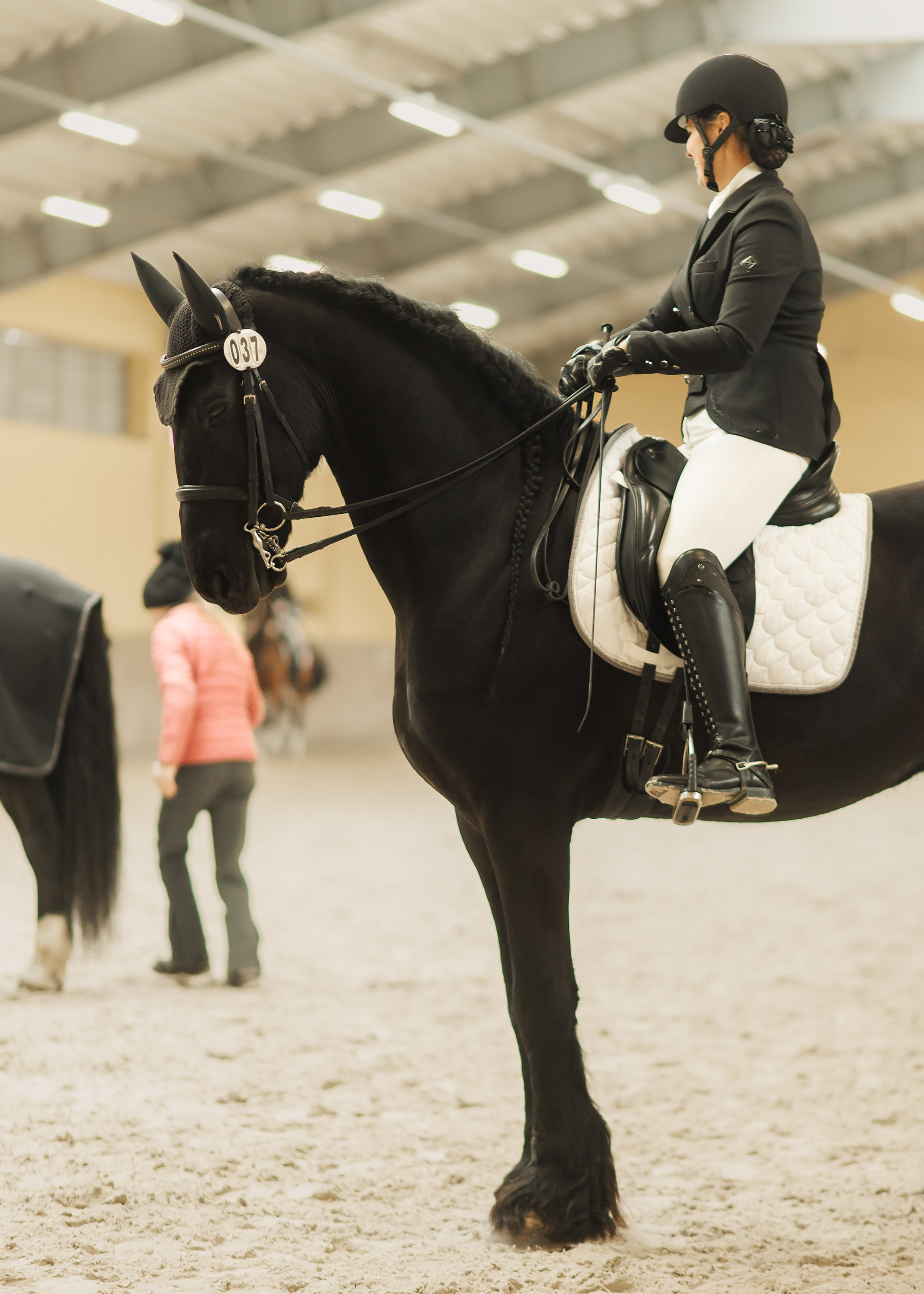 Partynice dressage \ feb'25. Kaja | fotograf we Wrocławiu | ludzie i psy