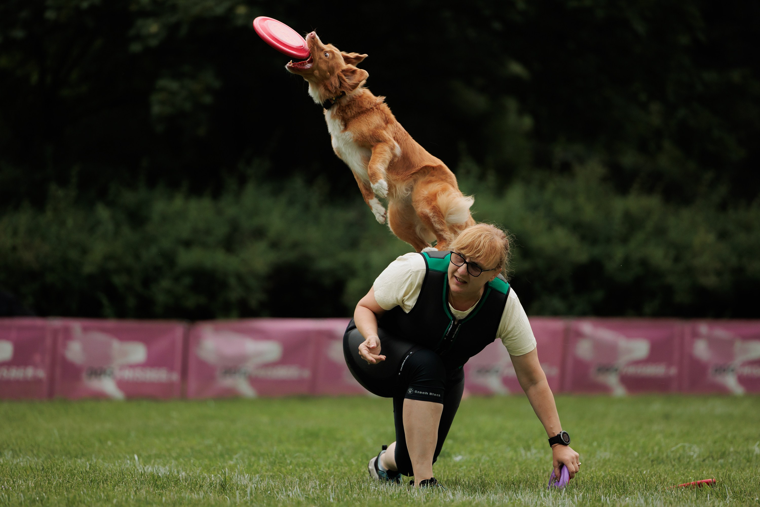 Latające psy, Wrocław'25. Kaja | fotograf psów we Wrocławiu