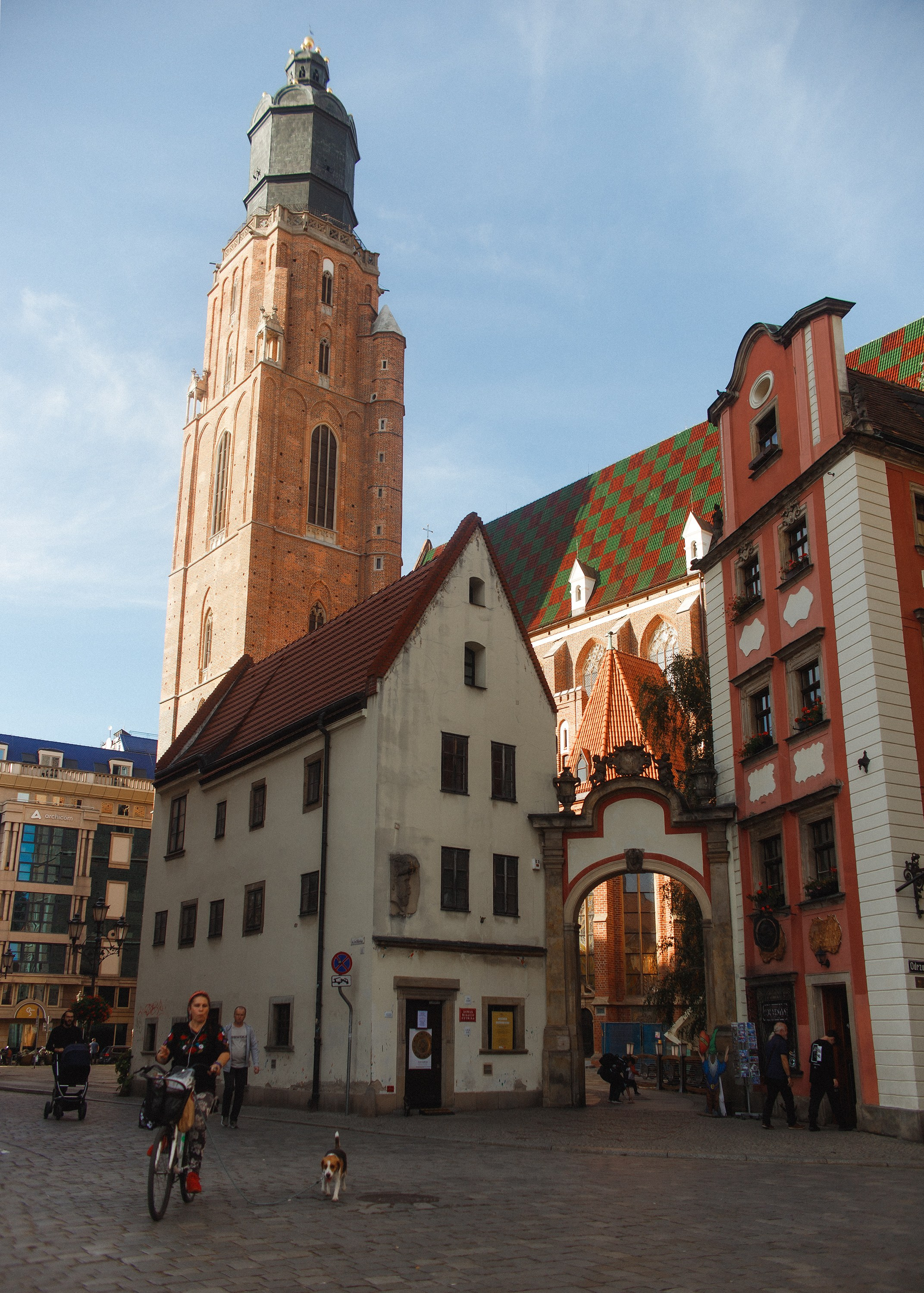 Nastya. Kaja | fotograf psów we Wrocławiu