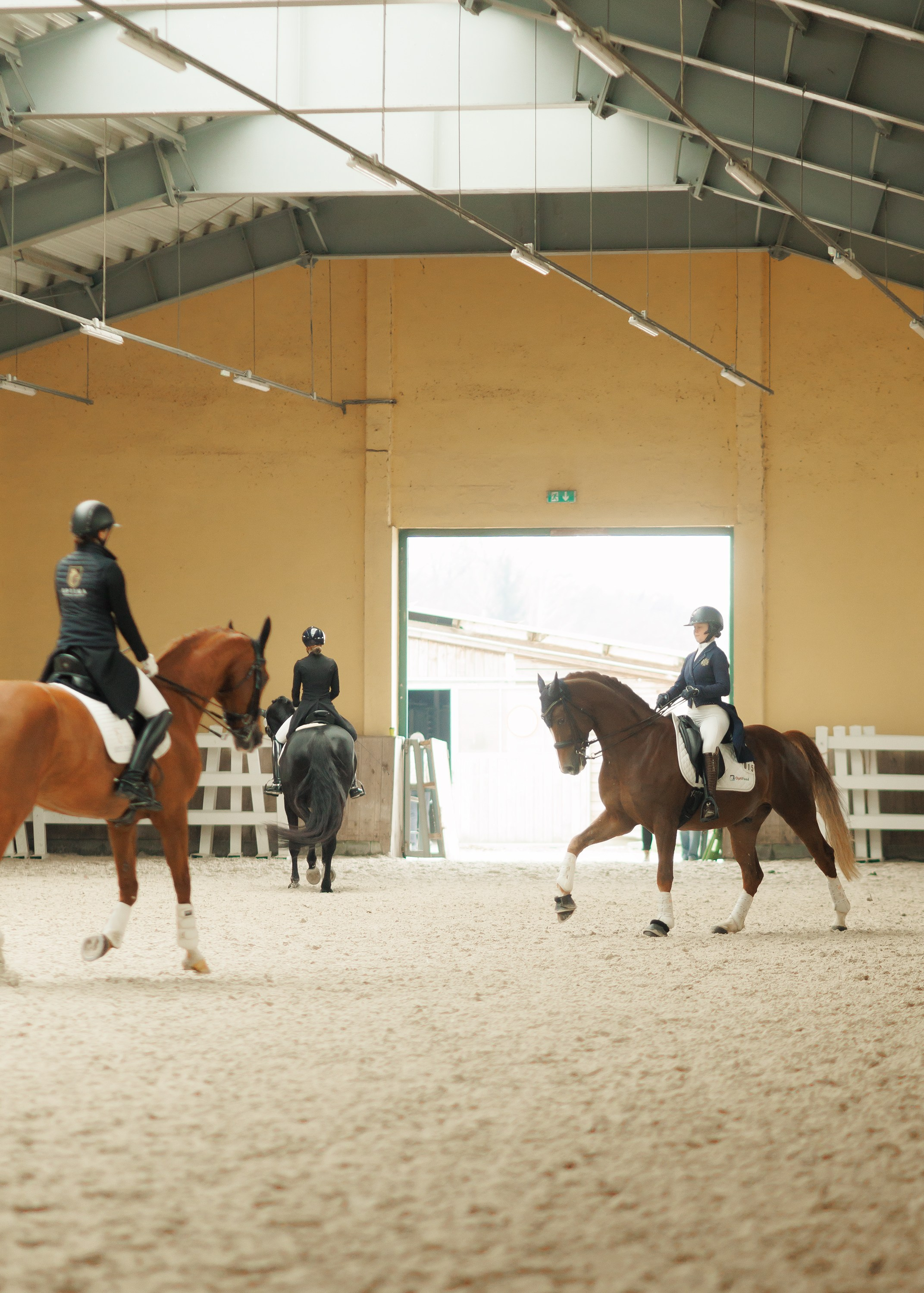 Partynice dressage \ feb'25. Kaja | fotograf we Wrocławiu | ludzie i psy