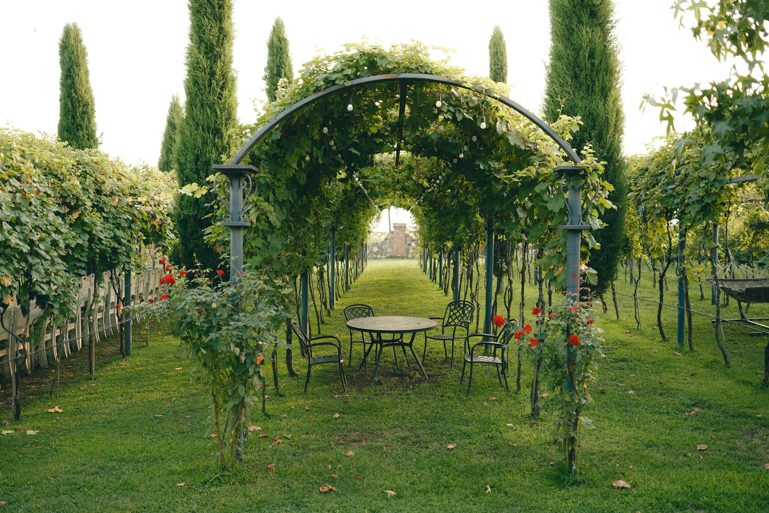 Kakheti | Ilia & Naida. Главная