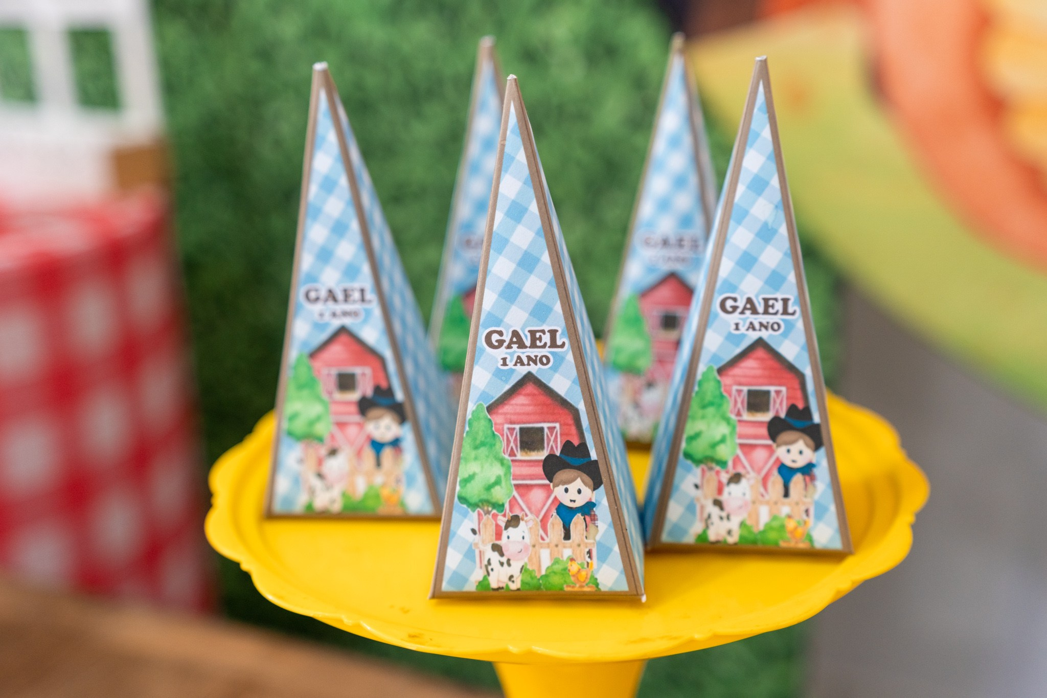 Gael 1 ano — 21/12/2024. Luiz Medeiros Produções