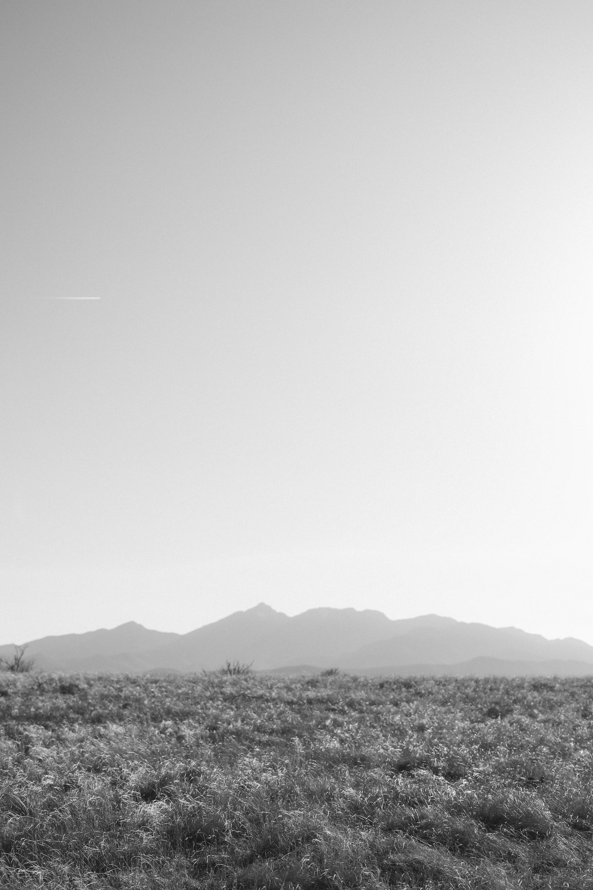 Vivian. Anastasia Post: Wedding and Editorial Photography