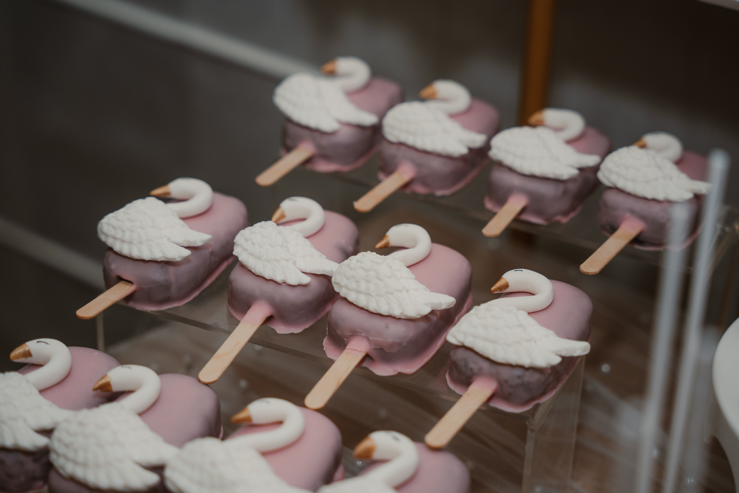 Roðendani. Porodični fotograf