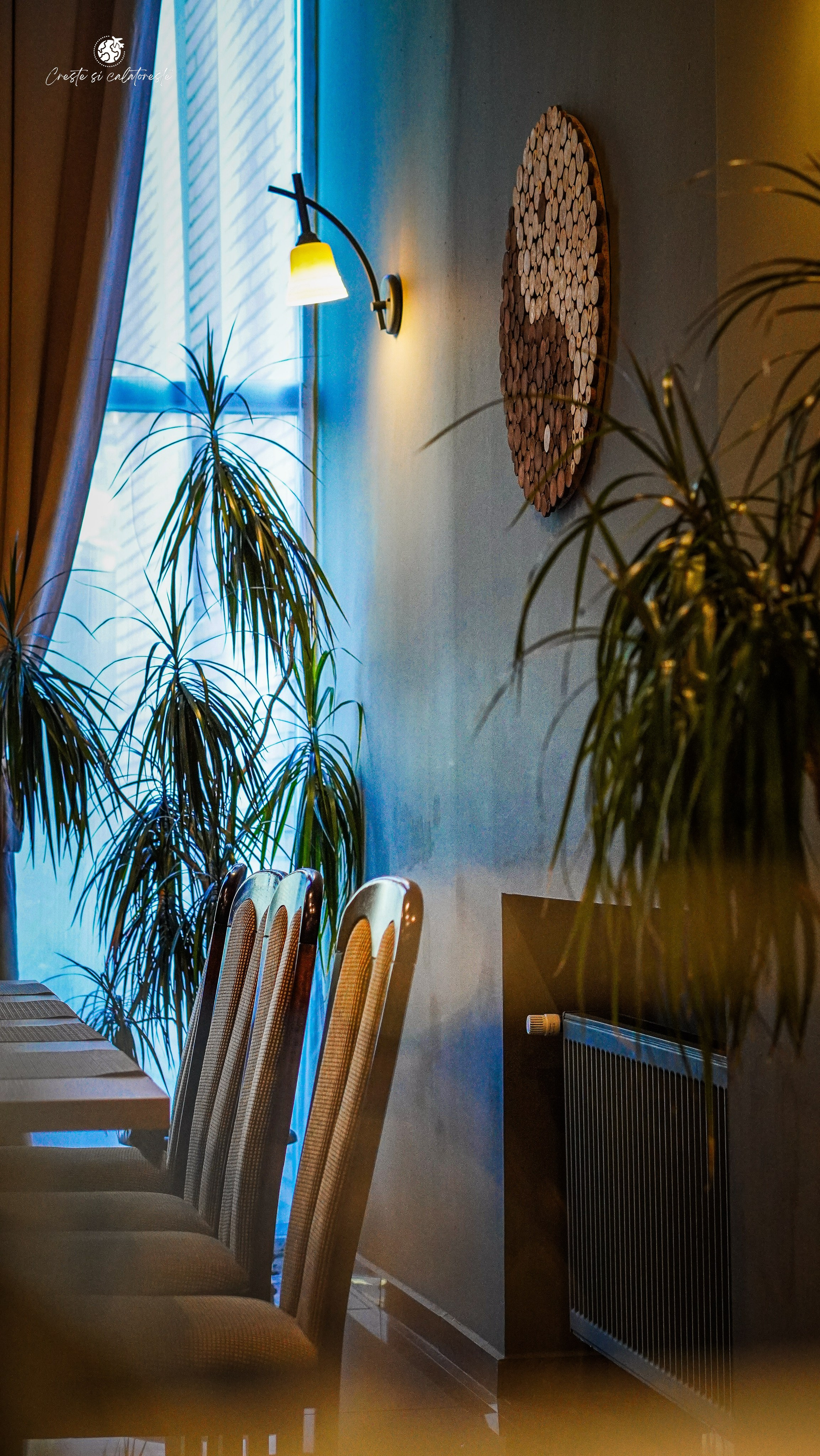 Bacolux Diana. Creste si calatoreste