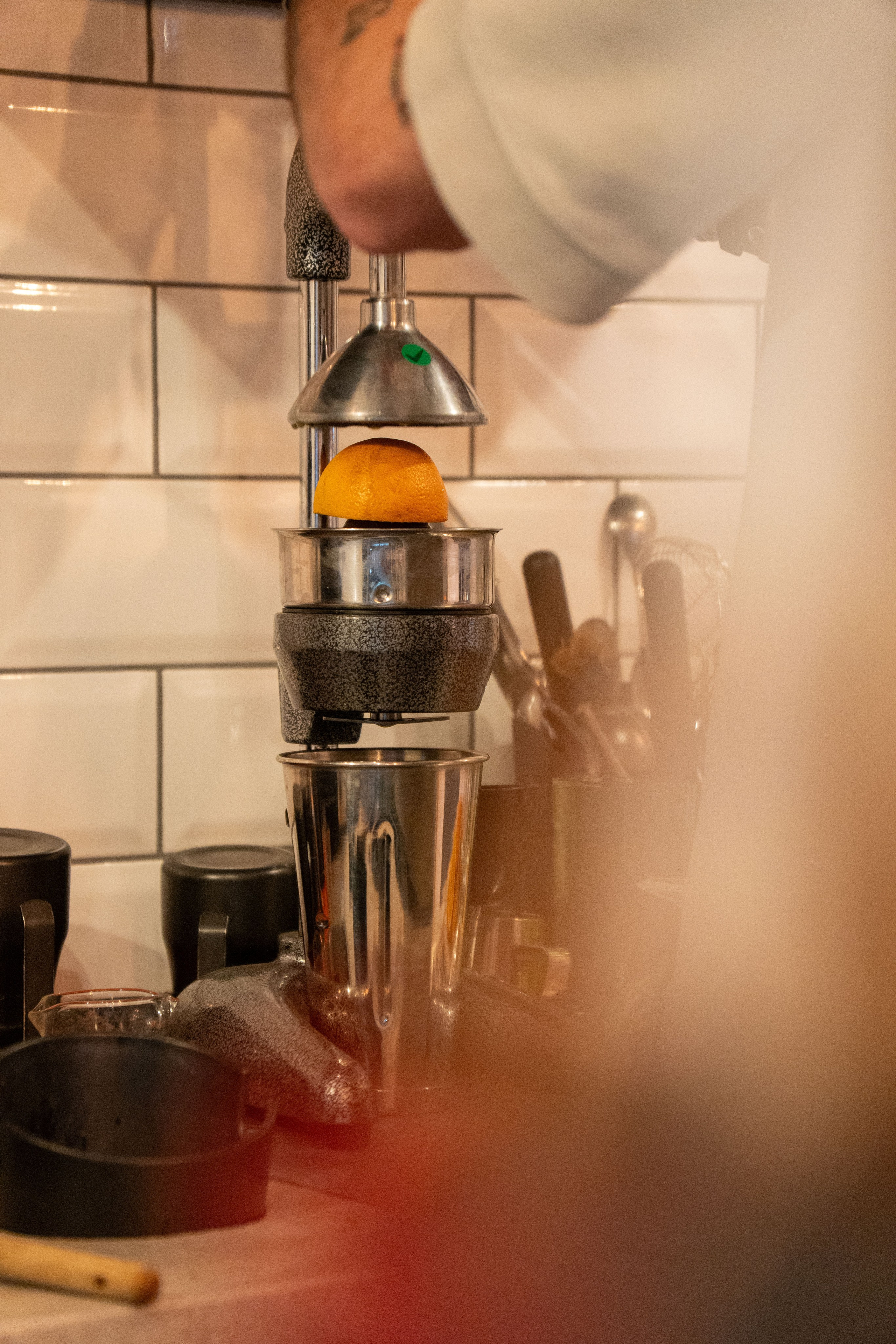 Adam’s. Creste si calatoreste