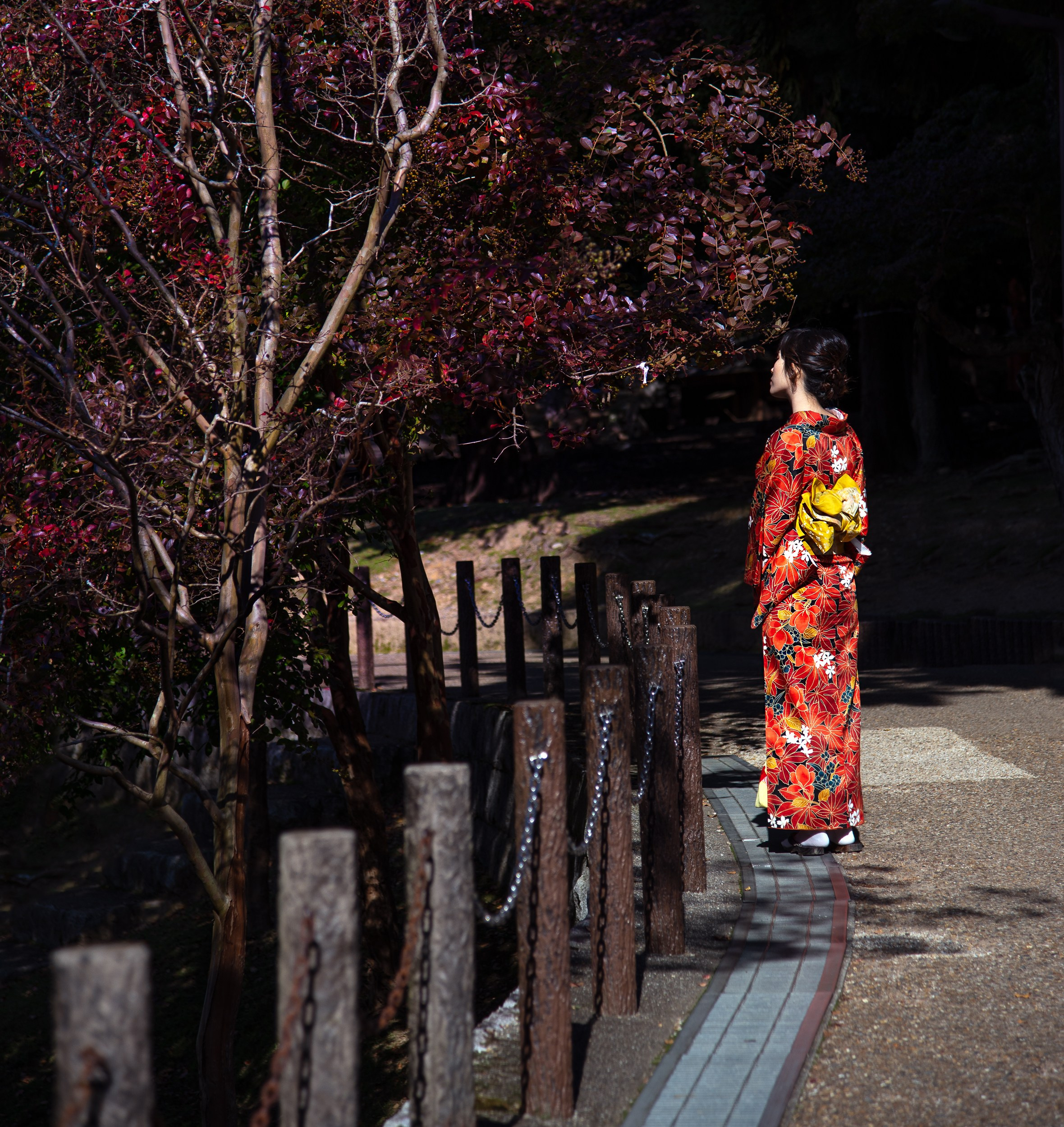 Japan. Marius Ciocan