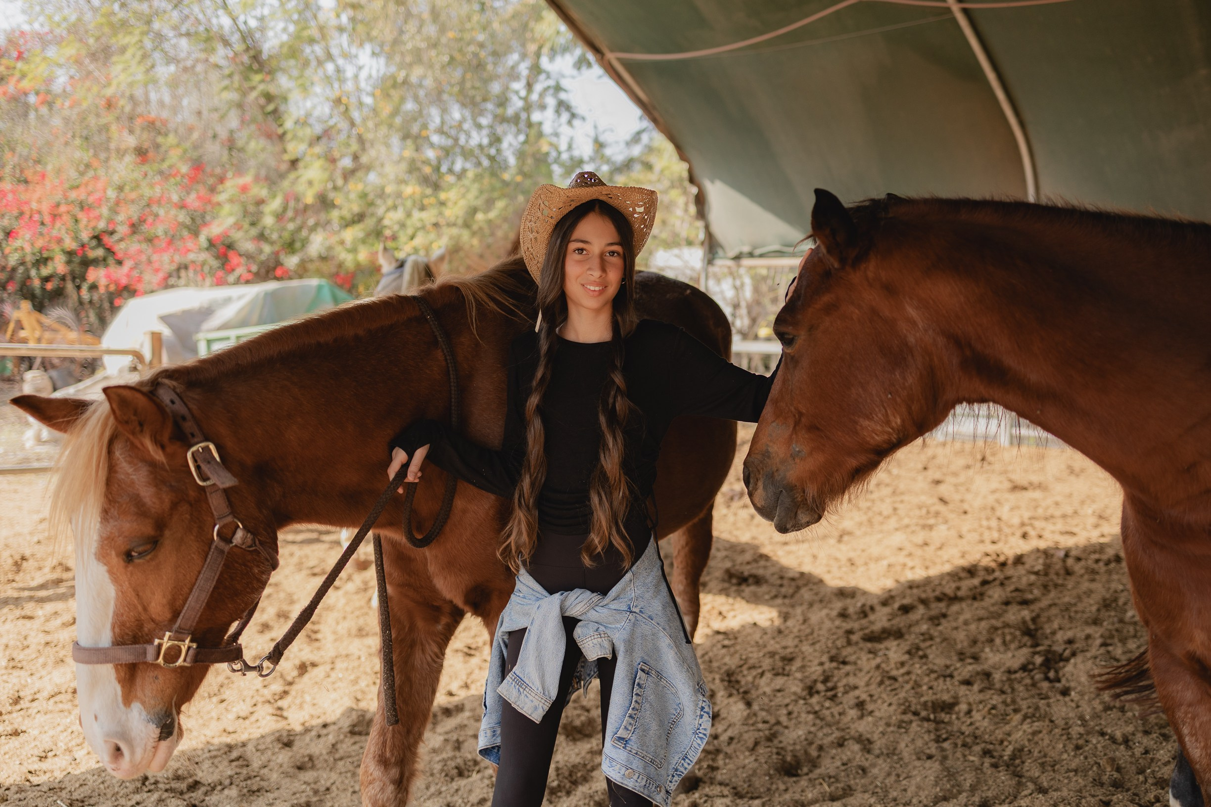 חוות סוסים בת מצווה. דף בית