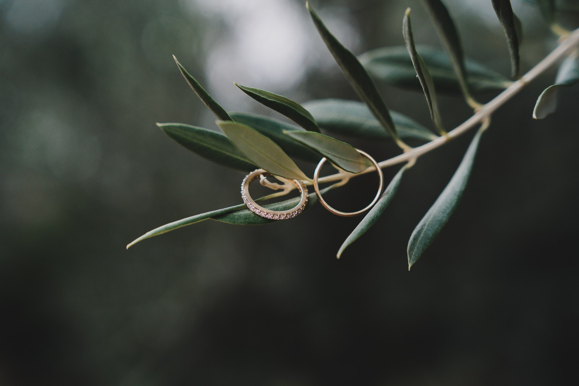 Fotografo di famiglia, neonati, maternity, ritratti, matrimoni, cerimonie, Rimini