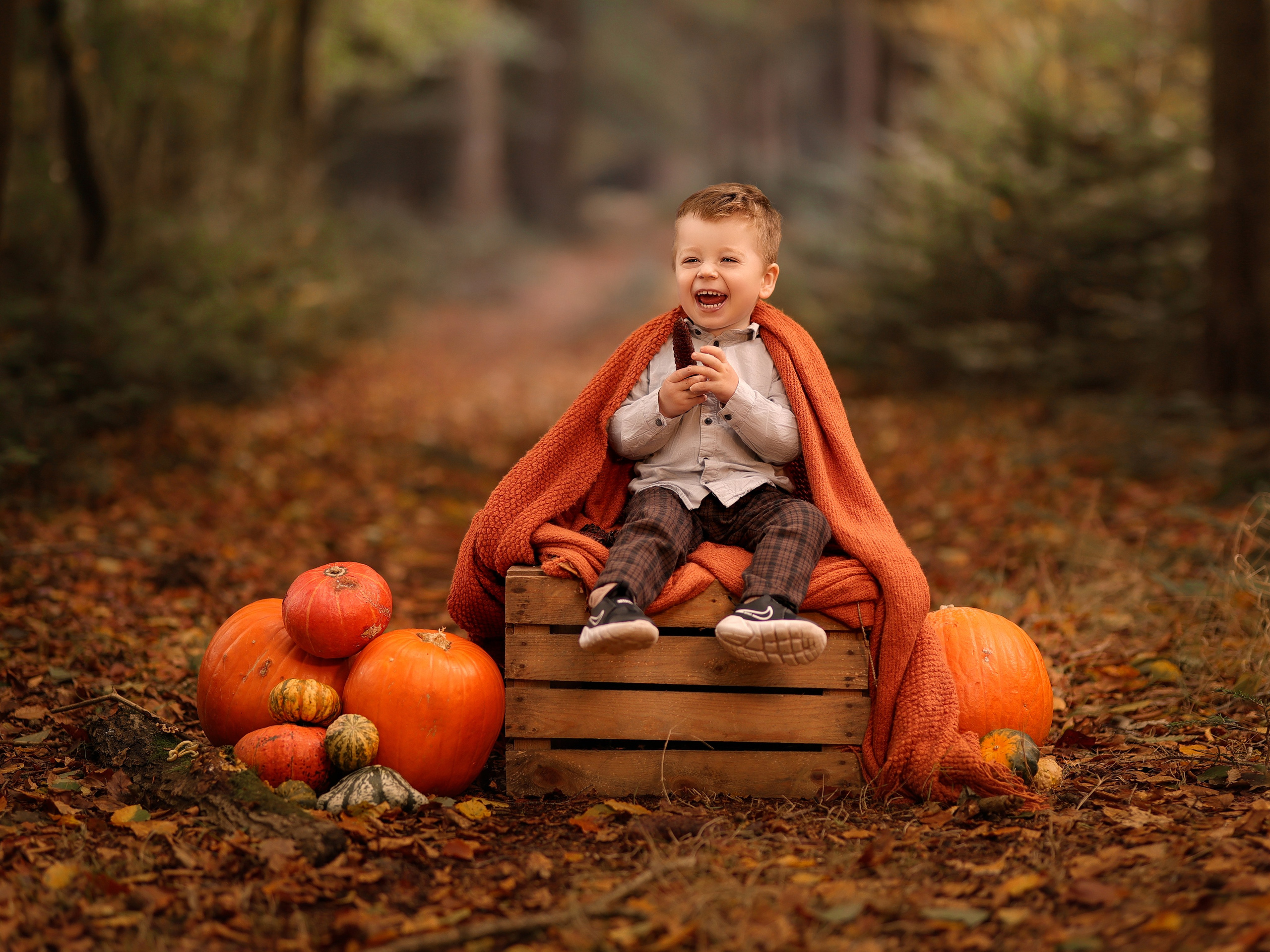 Kinderfotografie Kinderfotograf Norden Aurich Emden. Familien- Fotografin in Marienhafe, Aurich, Emden, Norden, Leer