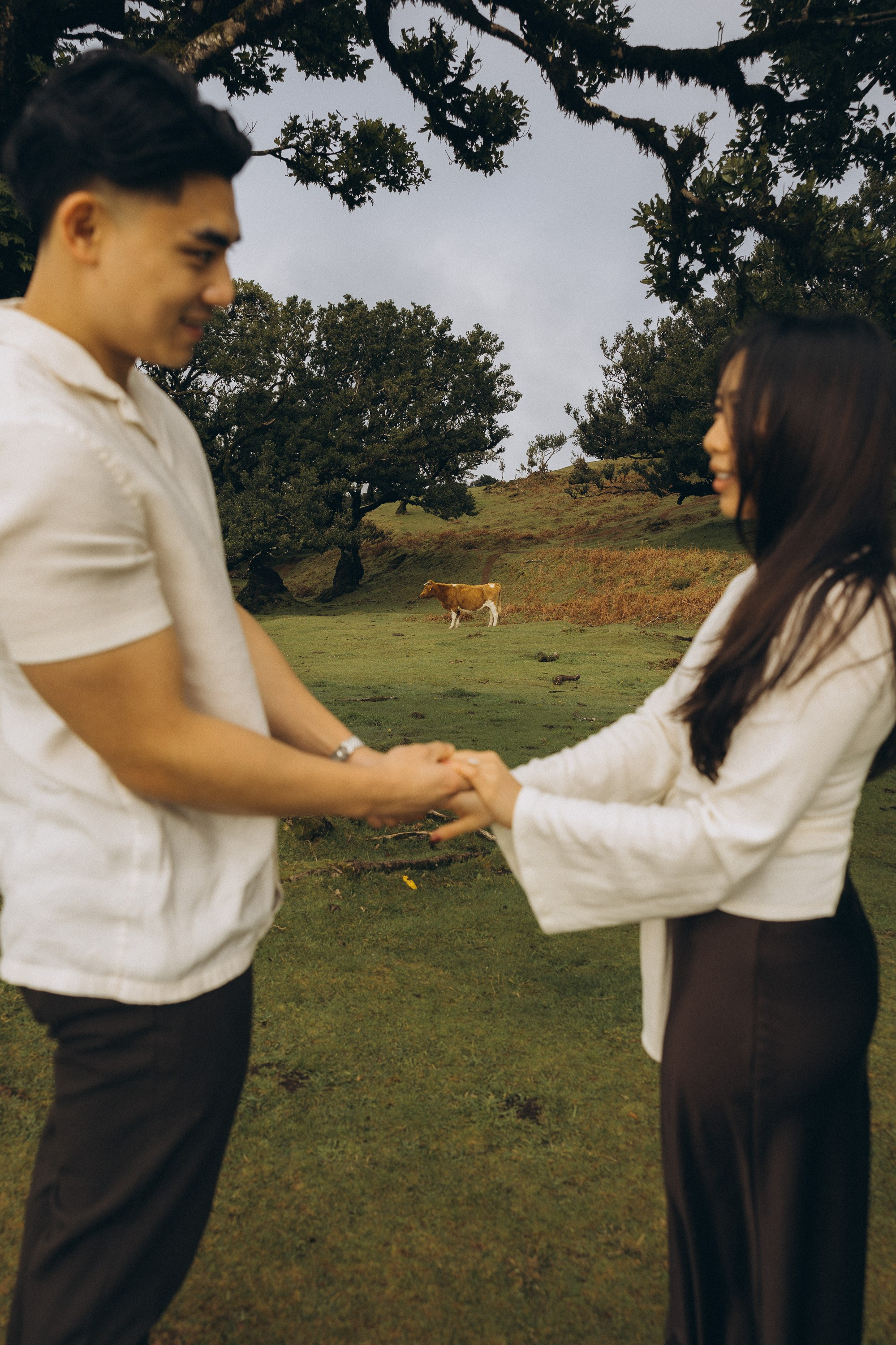 Proposal in Fanal Forest