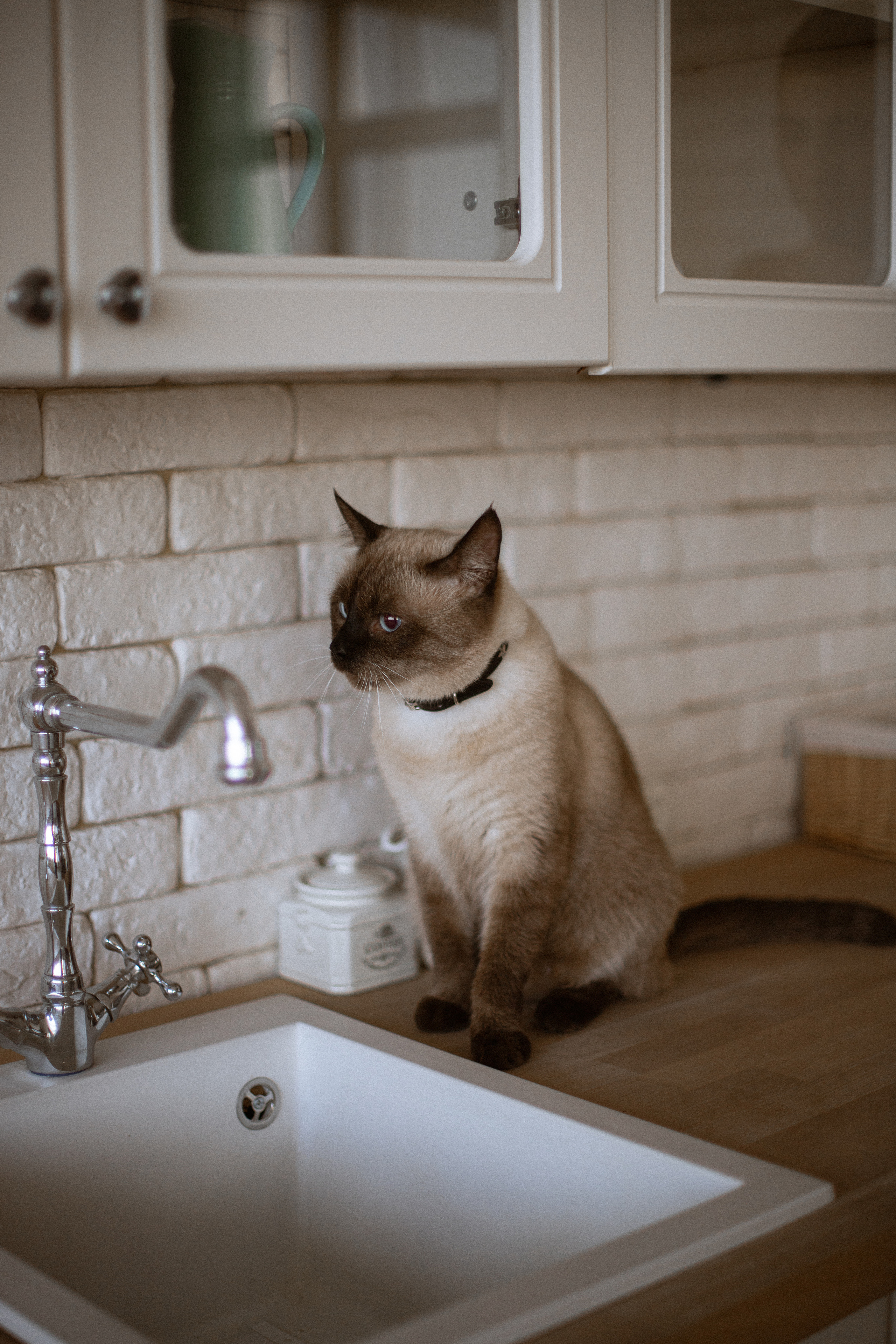 Ksu & Vladyslav. Обо мне