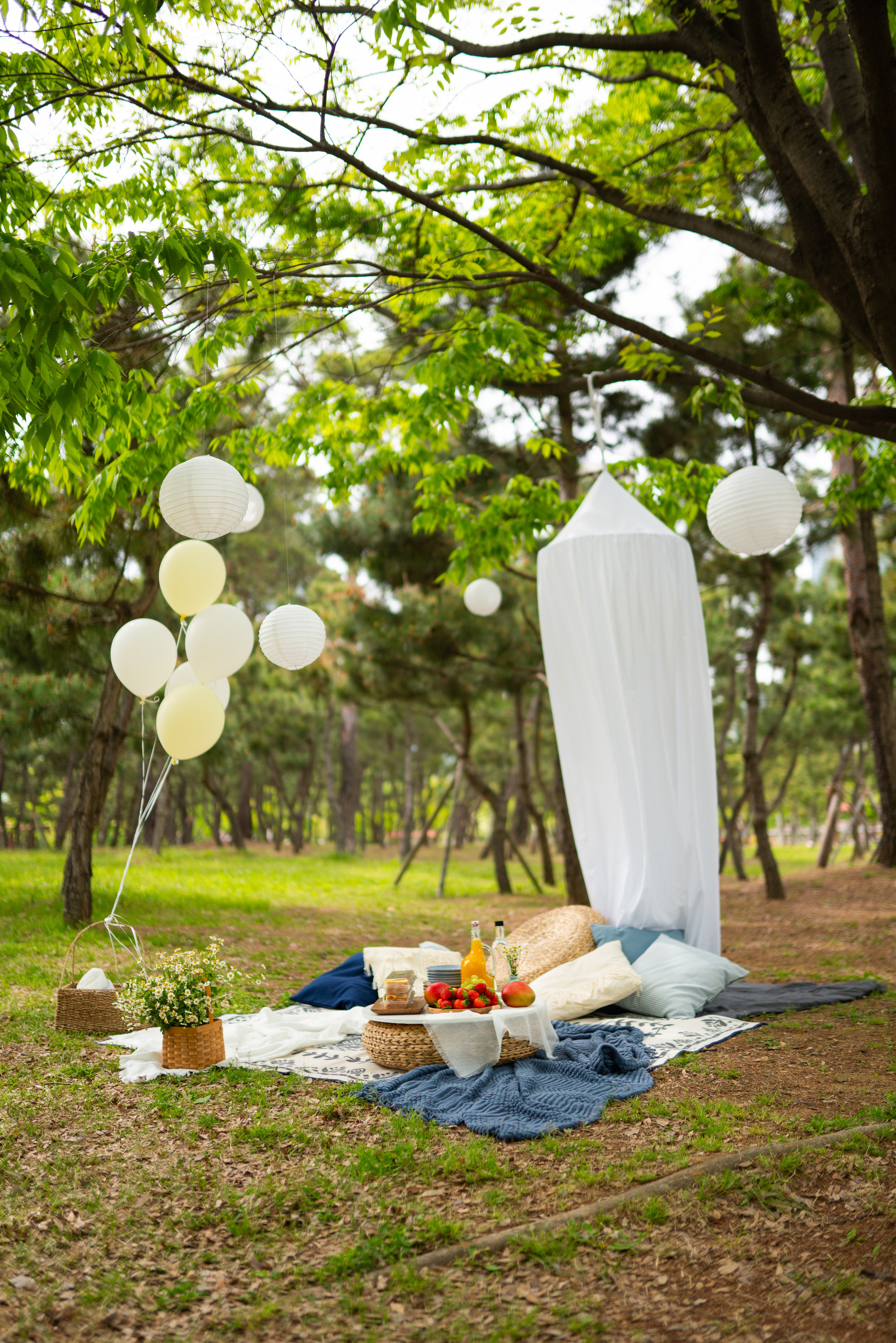 Set-дизайн. Студия декора «Нарния»