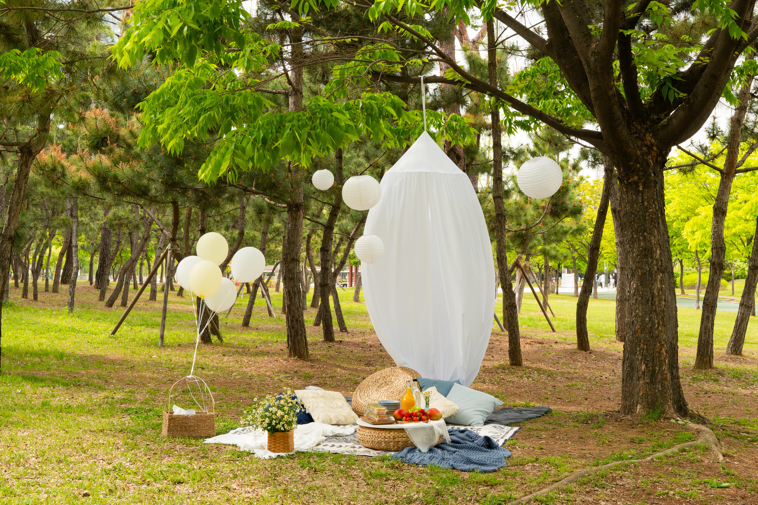 Set-дизайн. Студия декора «Нарния»