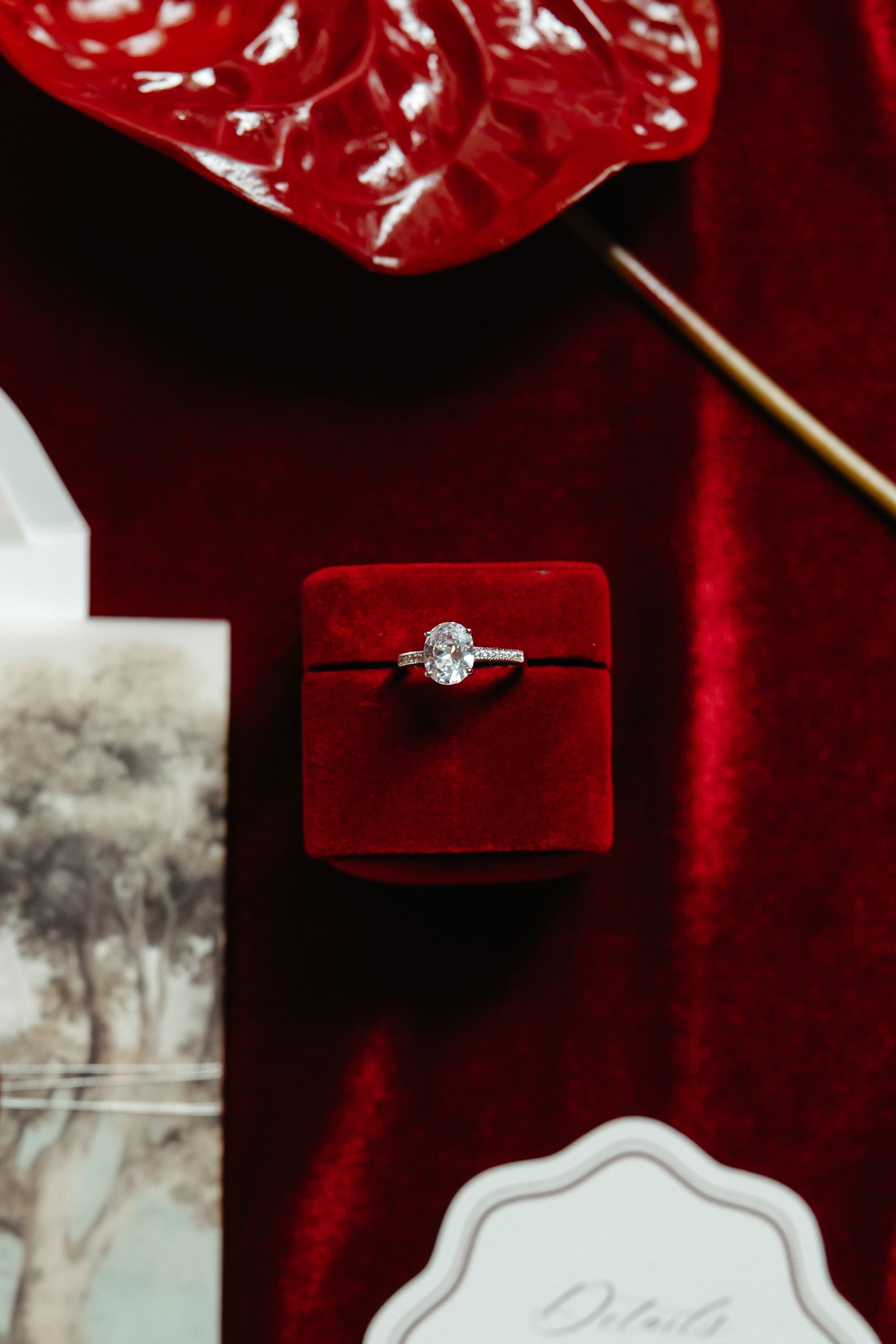 Melania & Matteo. Premium Wedding Photographer Iași