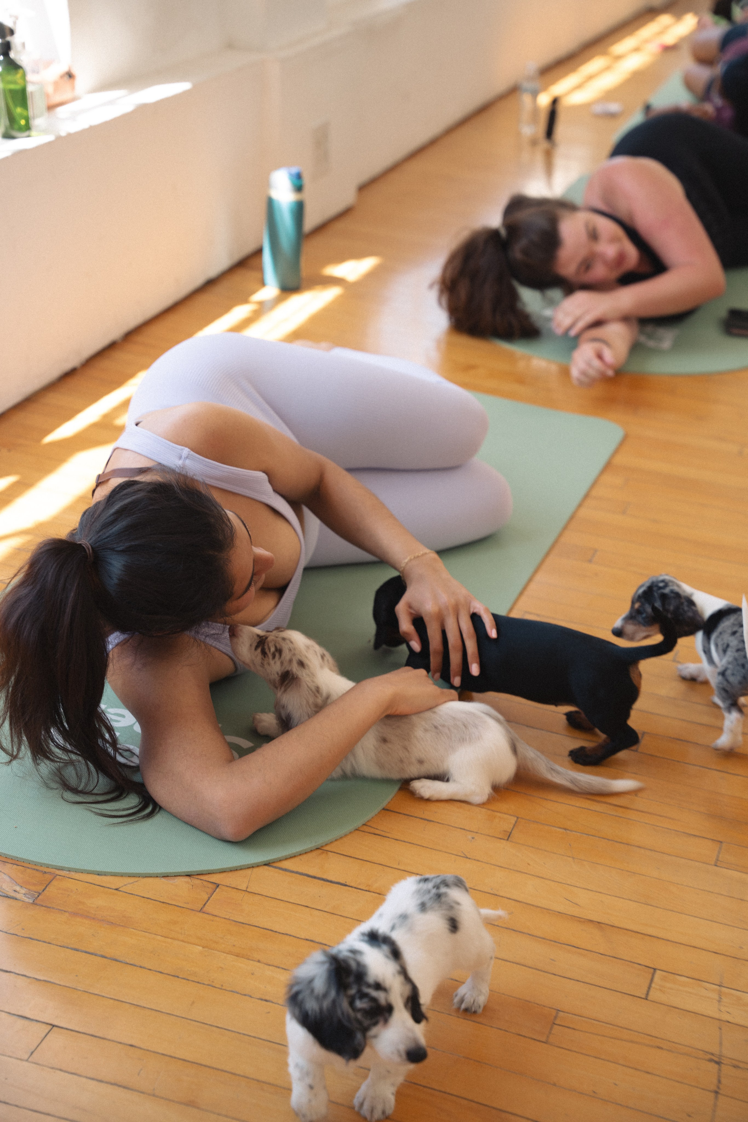 Yoga event in Los Angeles. Event photographer. Events in Los Angeles. Fitness event in Los Angeles. Fitness event photographer