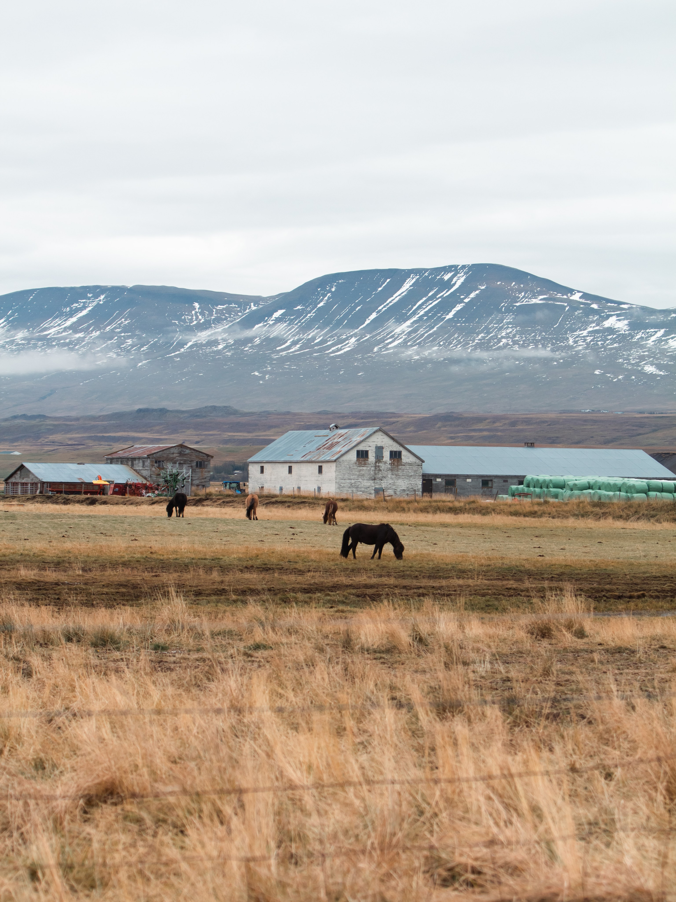 Iceland. Look Around You