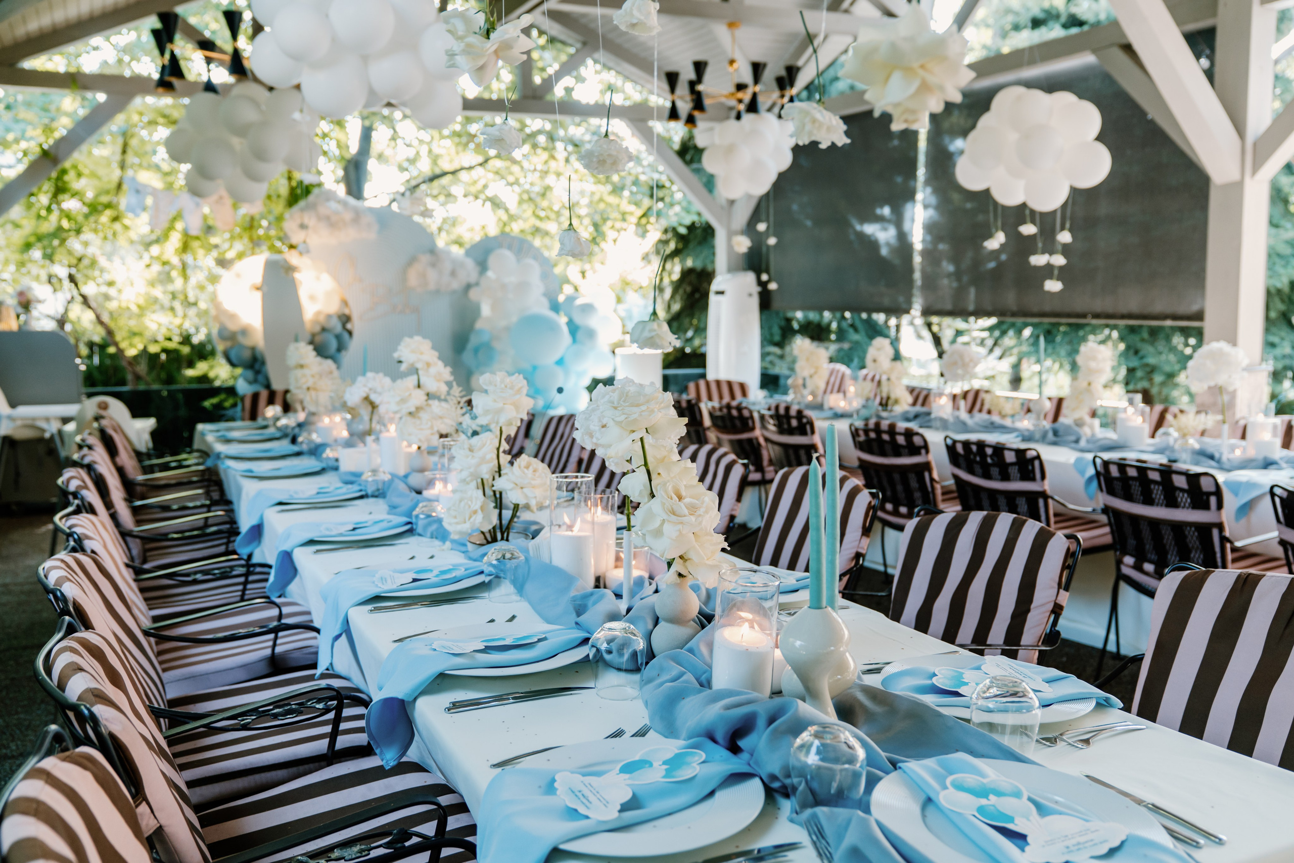 Baby Tudor. Gabrielacojocariu.com