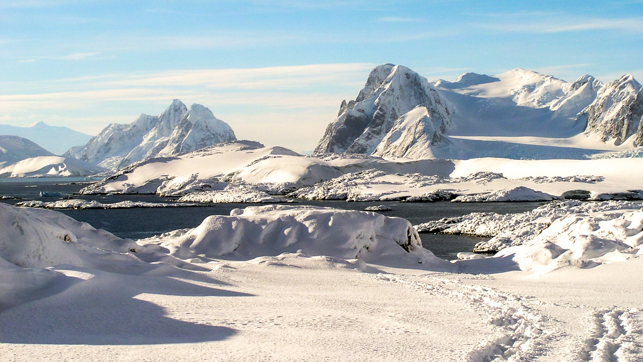 ANTARCTICA / 2004. Reportage concert portrait photography in the San Francisco Bay Area