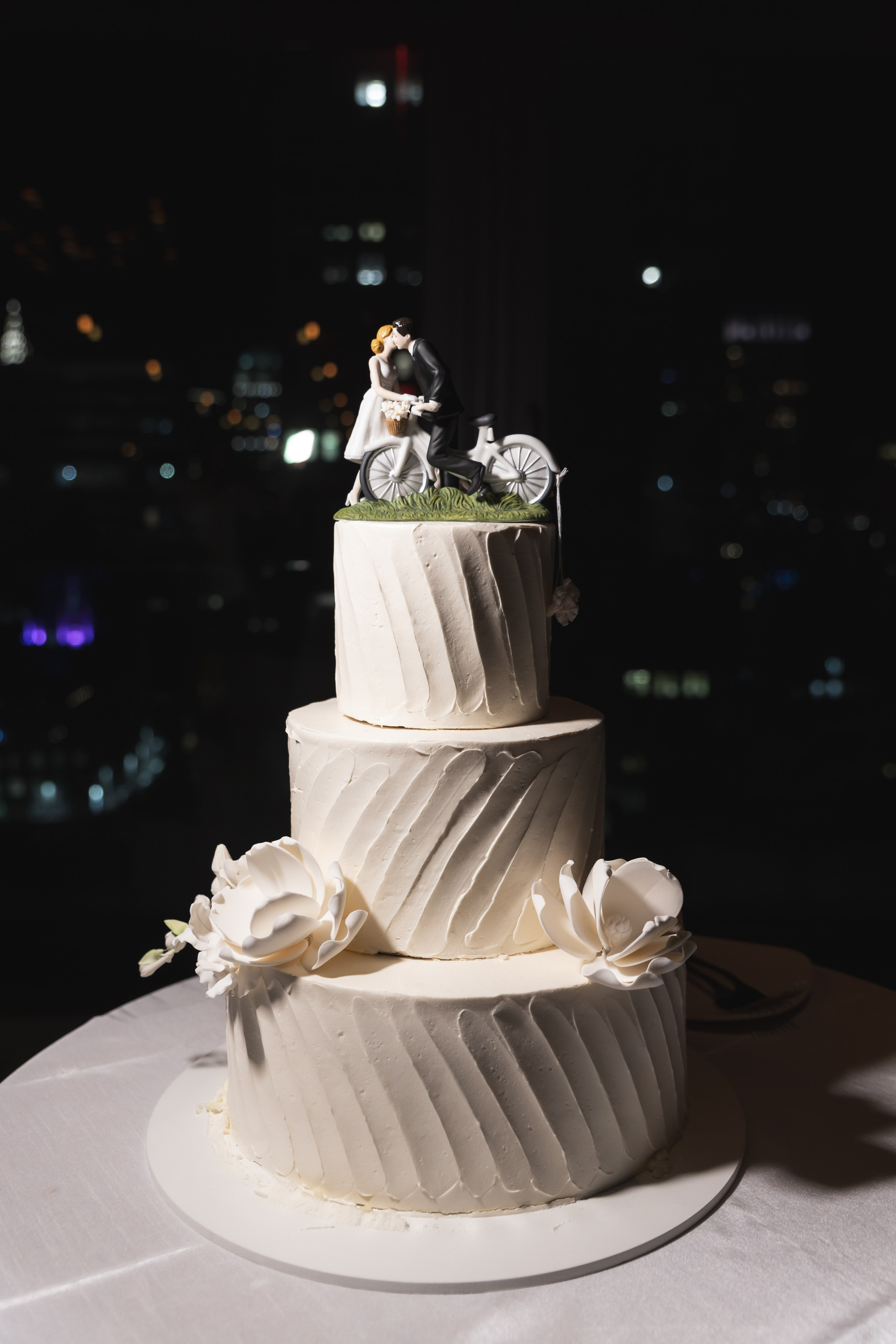 Arleta & Barry, The Skylark, NY. Wedding Photo & Video