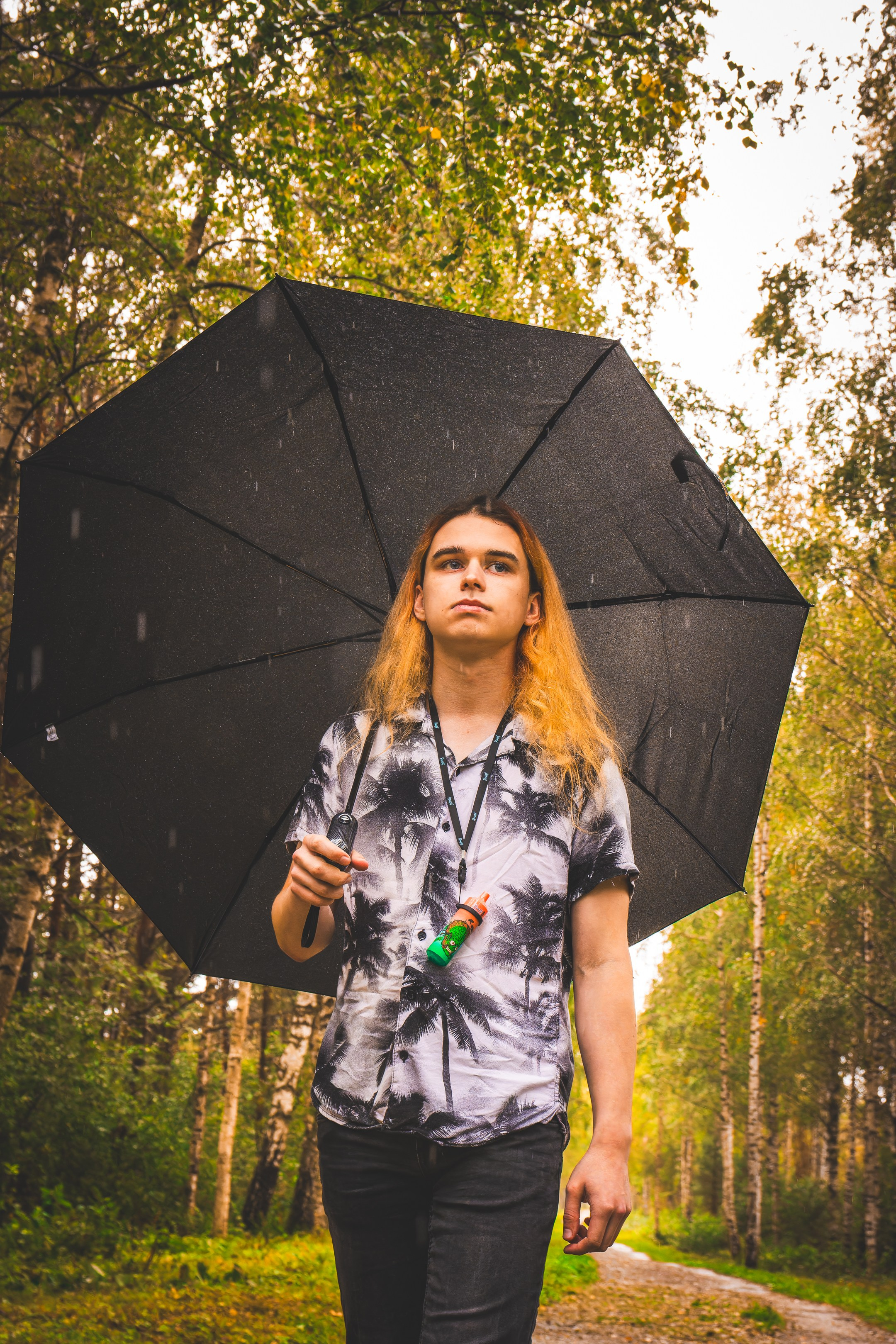Mets, vihm ja jahedus (Dimitry). Nebula 25 — Fotod teie hingele