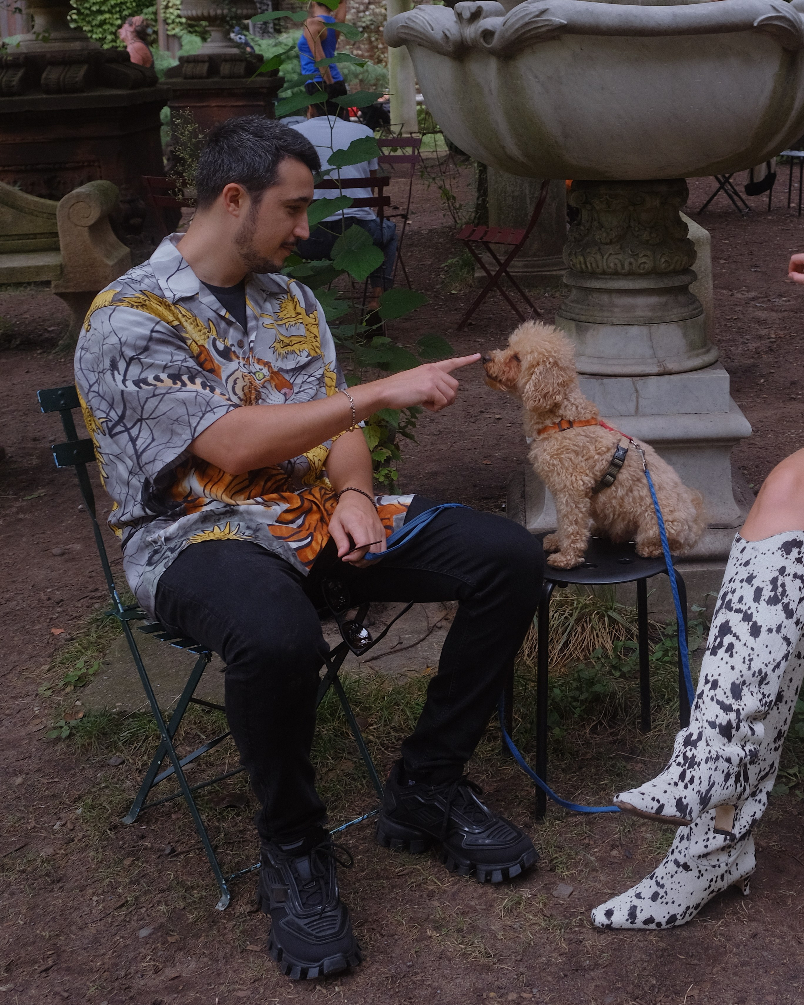 Annie, Egor & Locky. New York Photographer Sveta Zemskova, NYC Photo