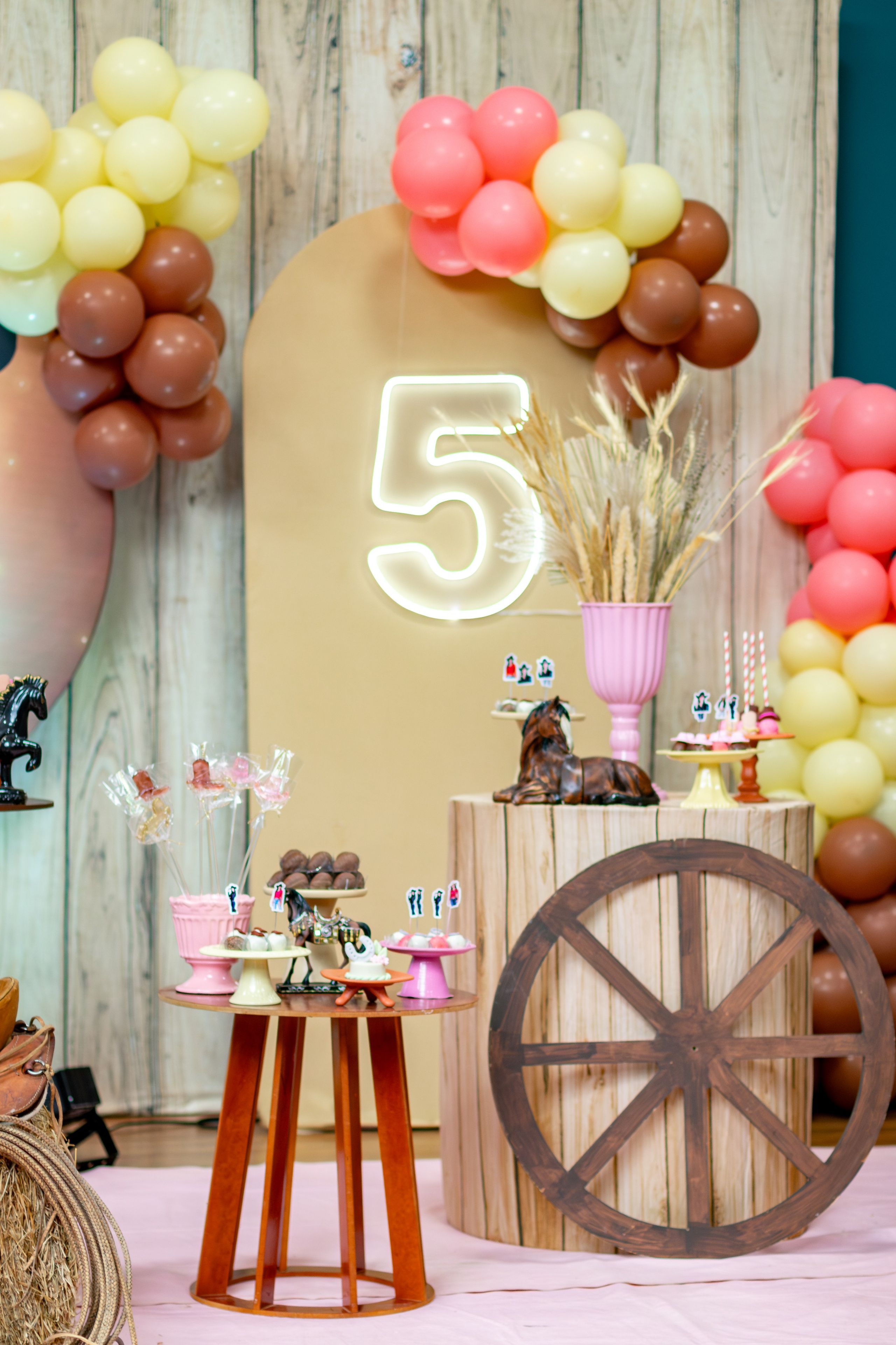 Stella — Aniversário 5 anos. Principal