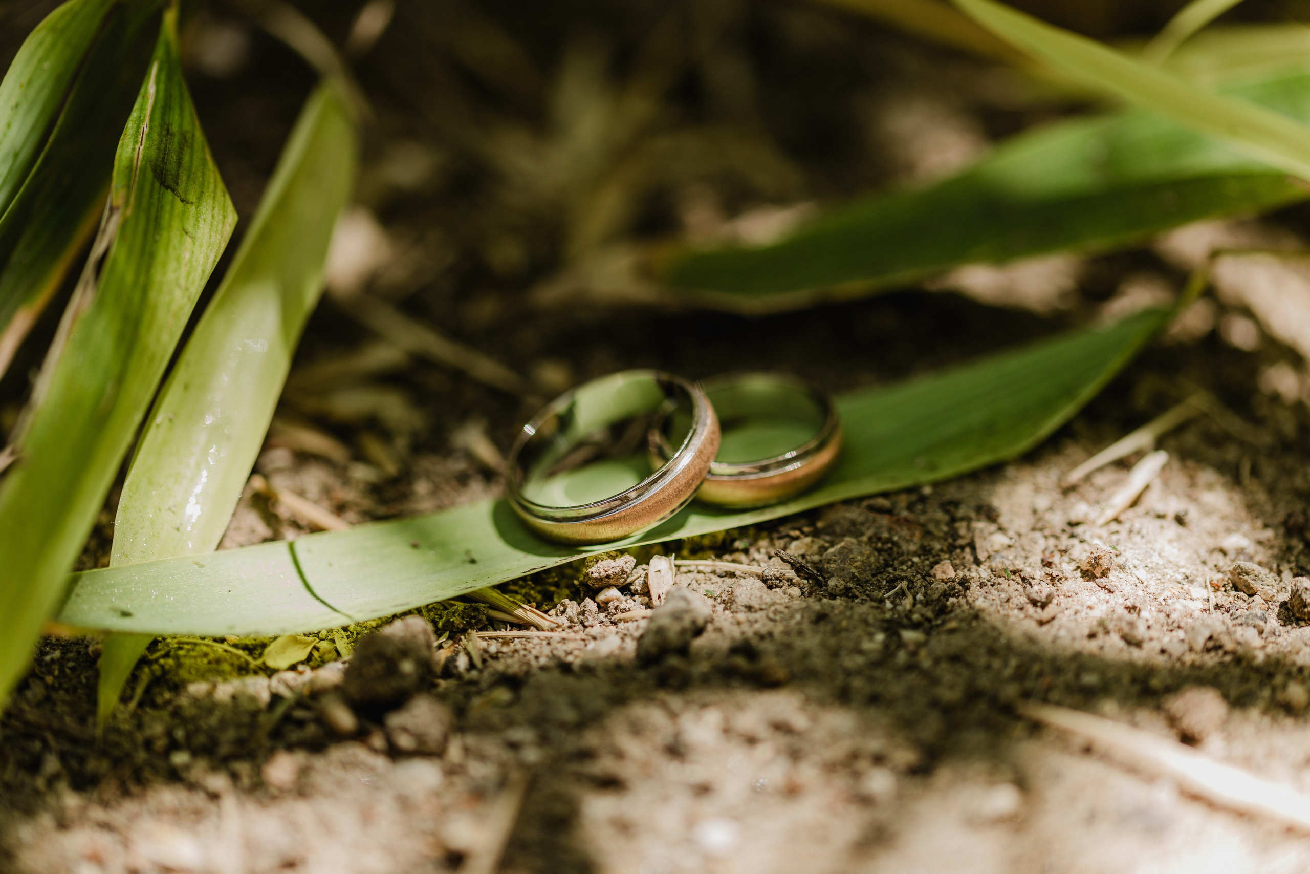 Fotógrafo de Bodas en Torrejón de Ardoz | Rainbox