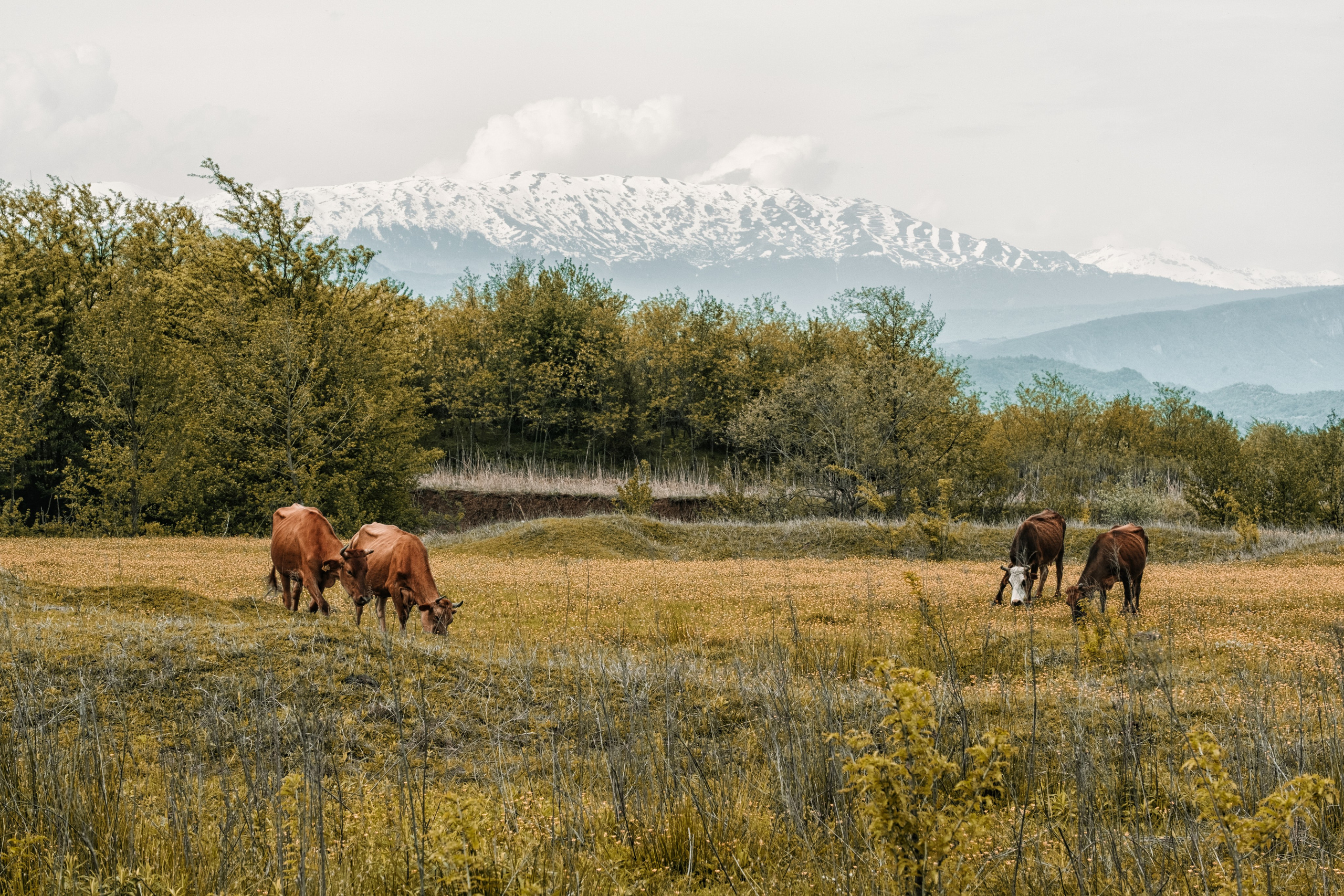 Работы учеников. Фотограф и преподаватель фотографии в Белграде