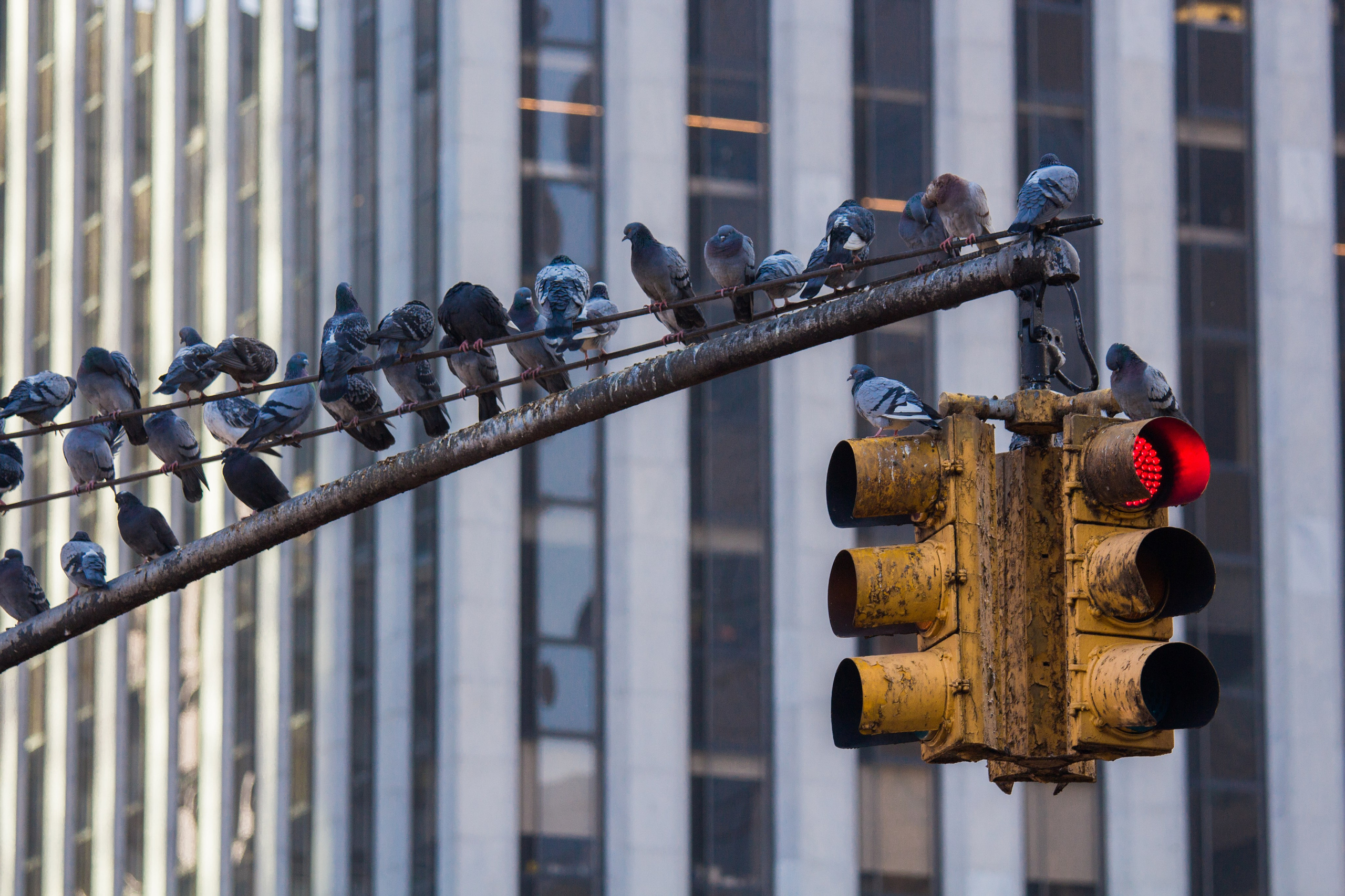 Работы учеников. Фотограф и преподаватель фотографии в Белграде