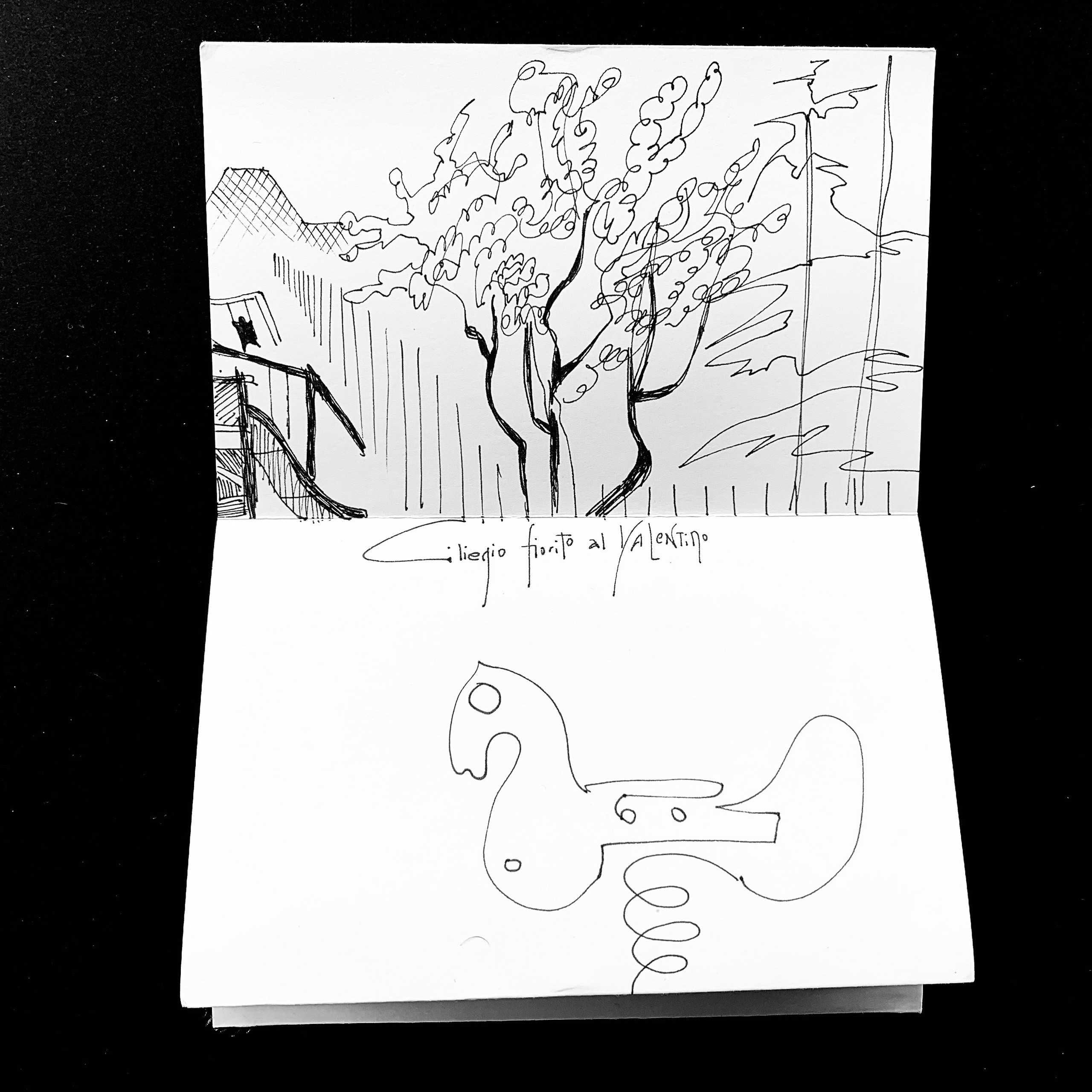 Parco del Valentino. 2010