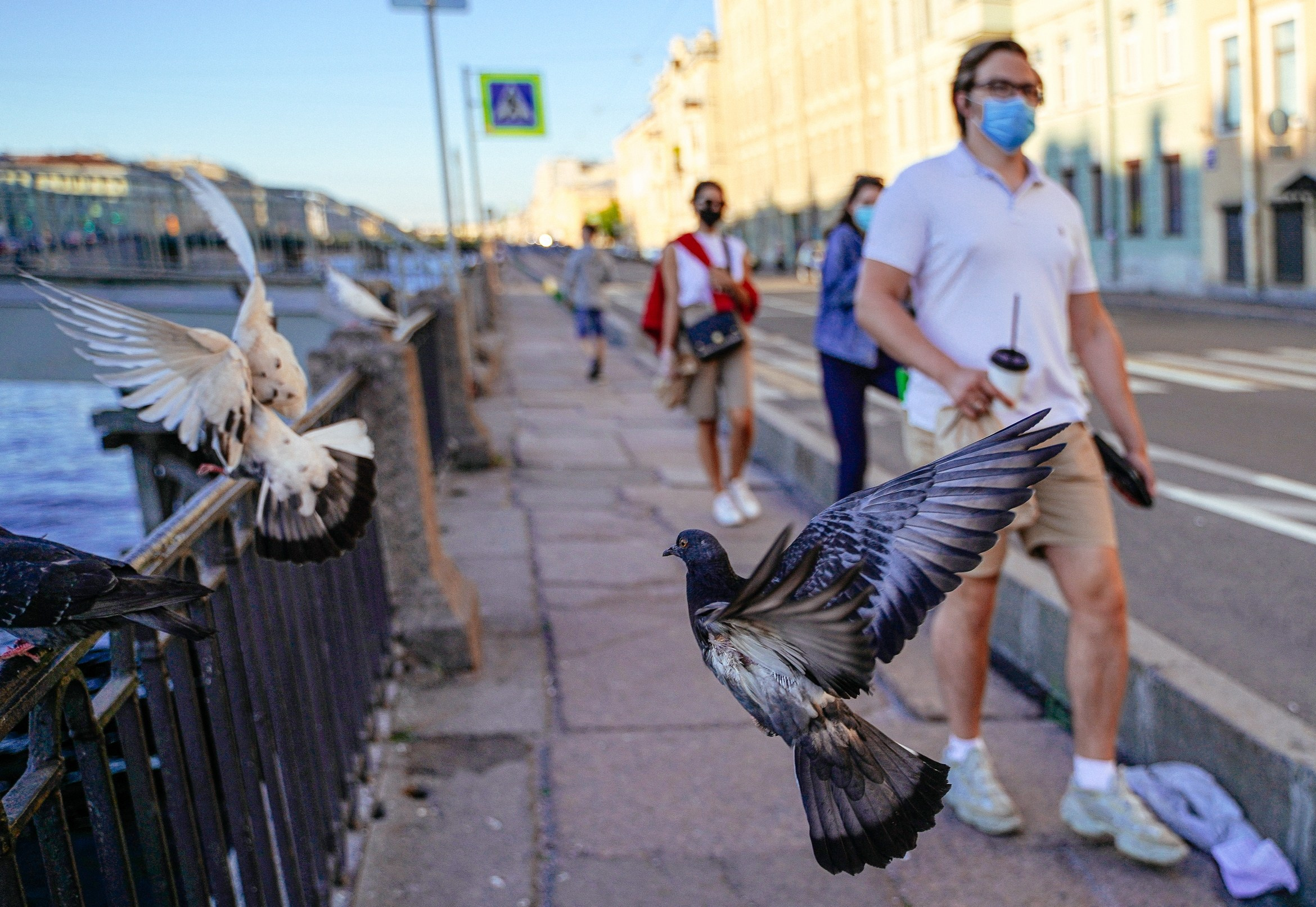 Пернатый психоз. Стрит-фотография, полная абсурда, идиотизма и красоты