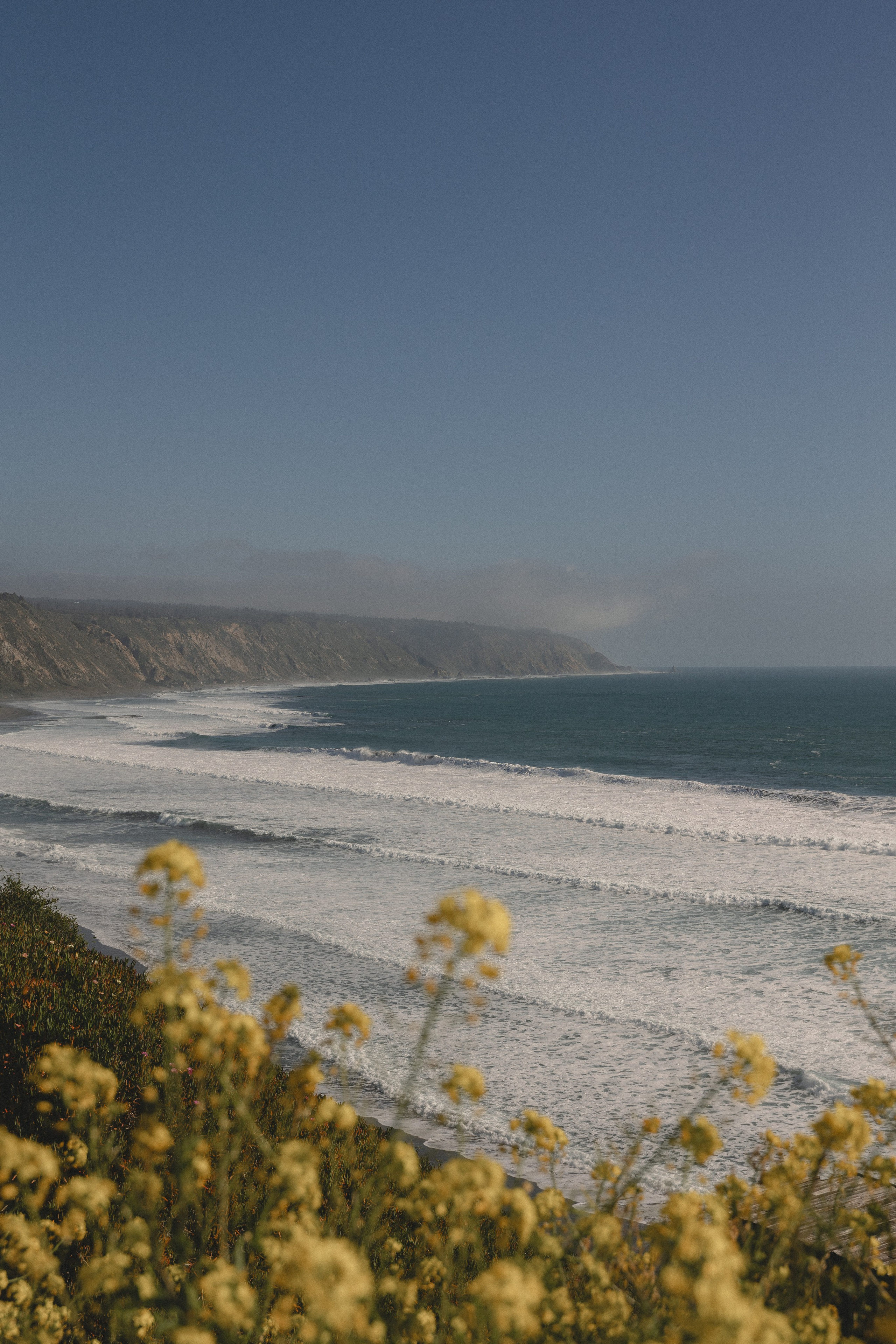 Elopement of Jessica & Clovis. Fotógrafa familiar Santiago y Chile Anna Almazova