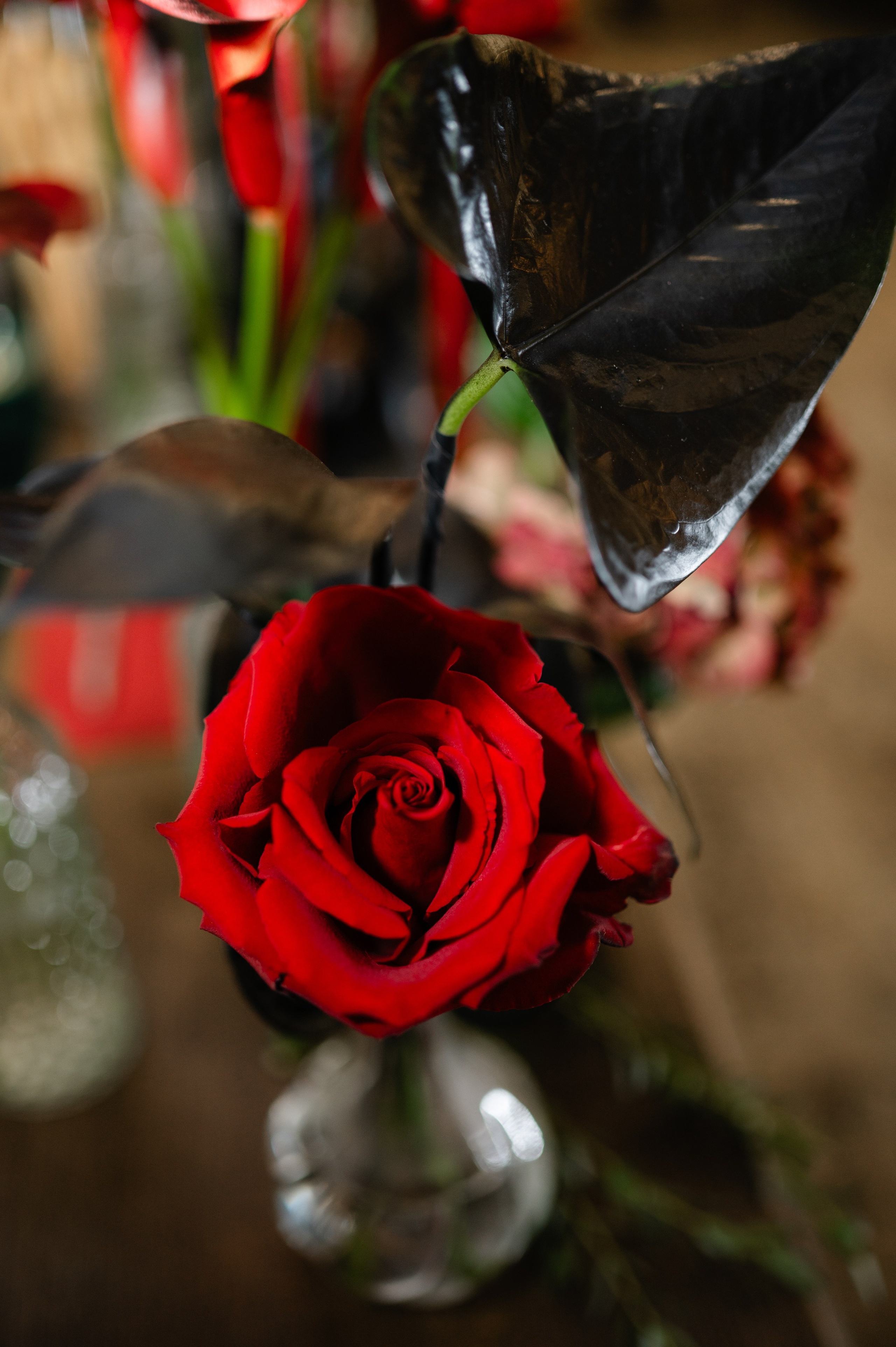 Wedding photos. Alexandra Hanu Photographer