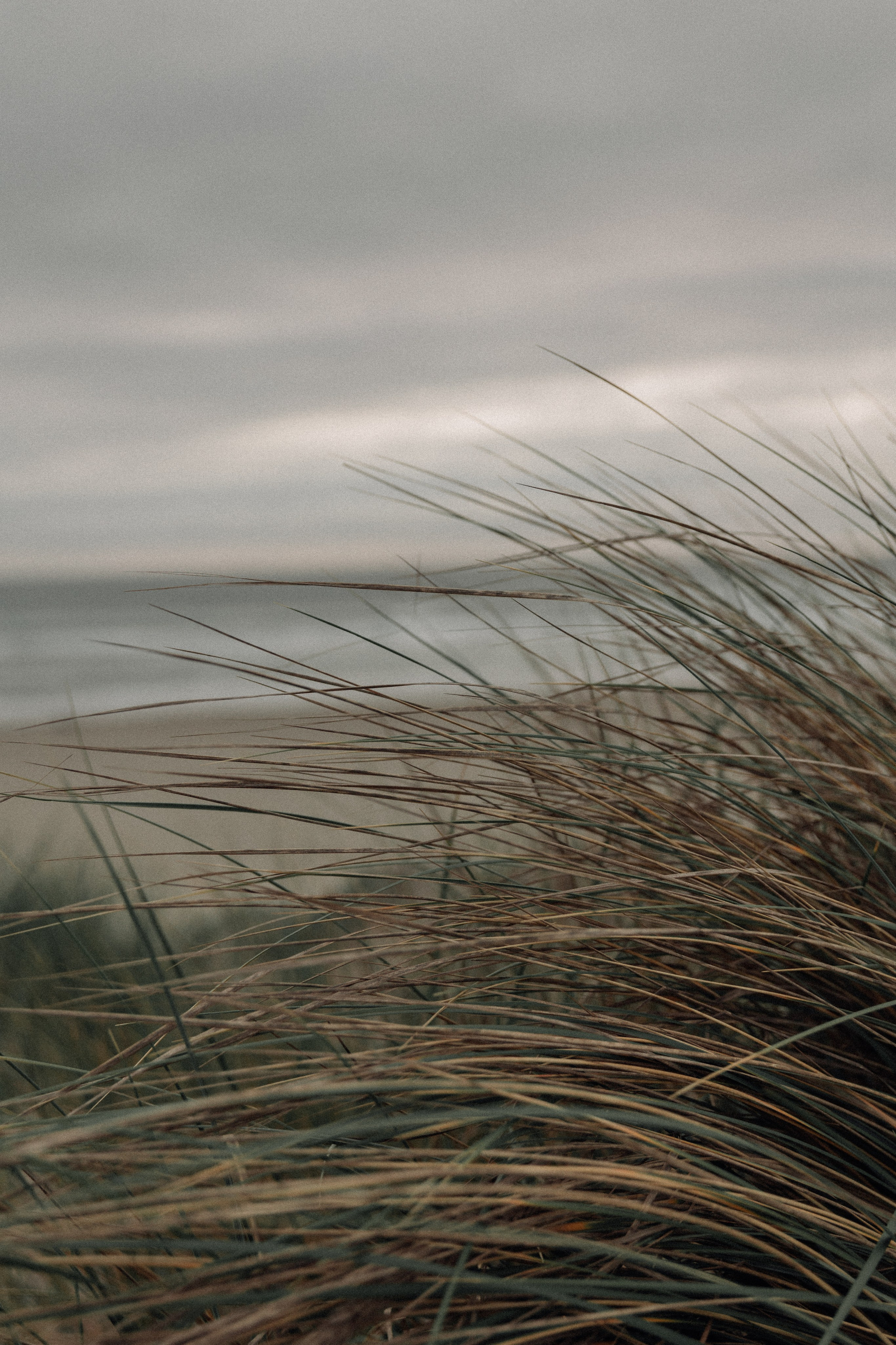 Natalia & Carlos. Anniversary love story. Fotógrafa familiar Santiago y Chile Anna Almazova