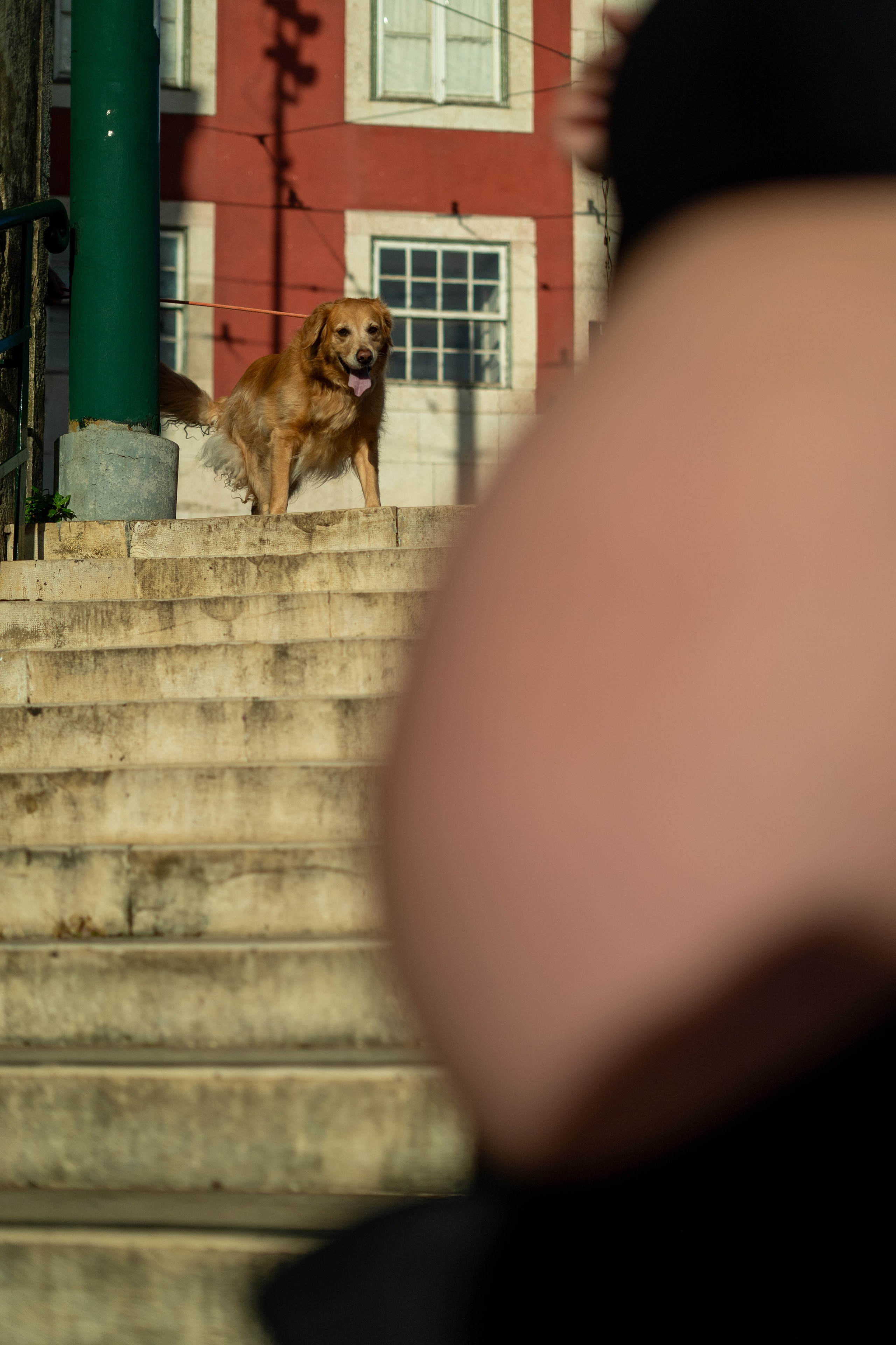Ensaio Lisboa — Rafaela e César. Frames by Giovani Braga