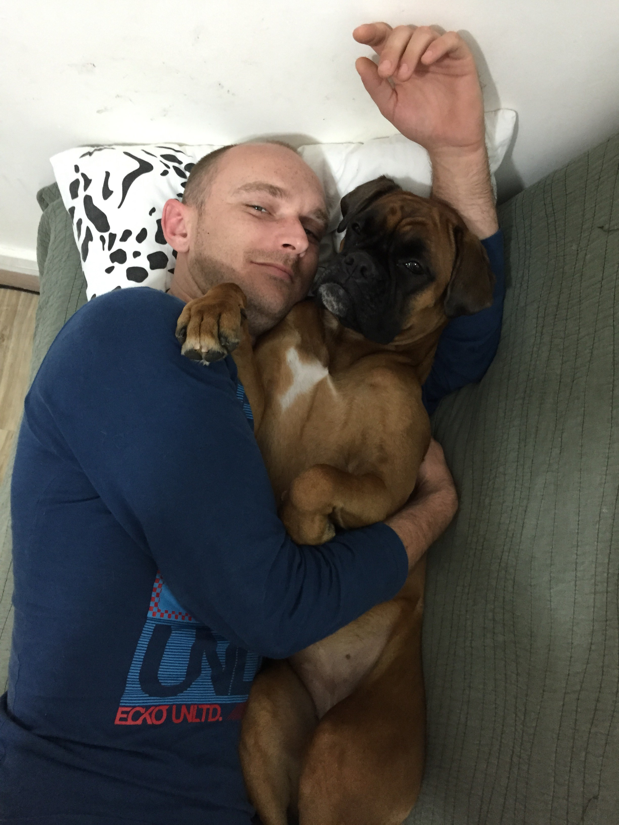 My ״Star״ Boxer Dog