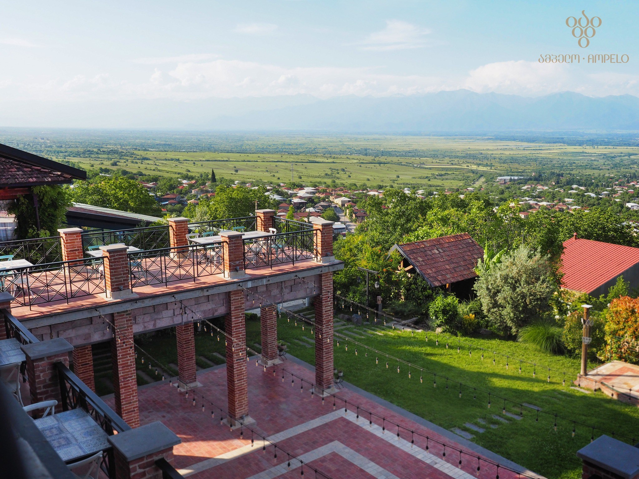 Ampelo. Главная