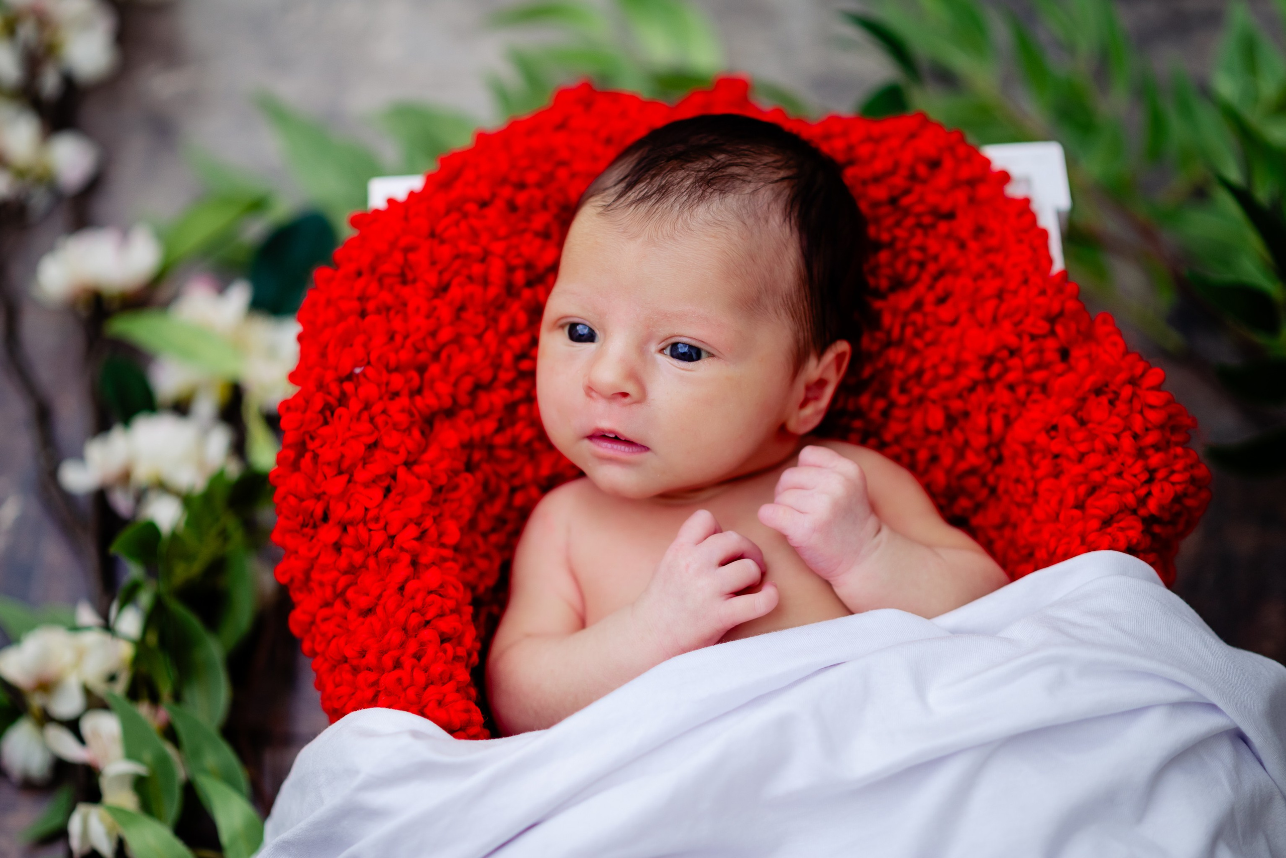 Teodora. The Unseen by Giani Maftei