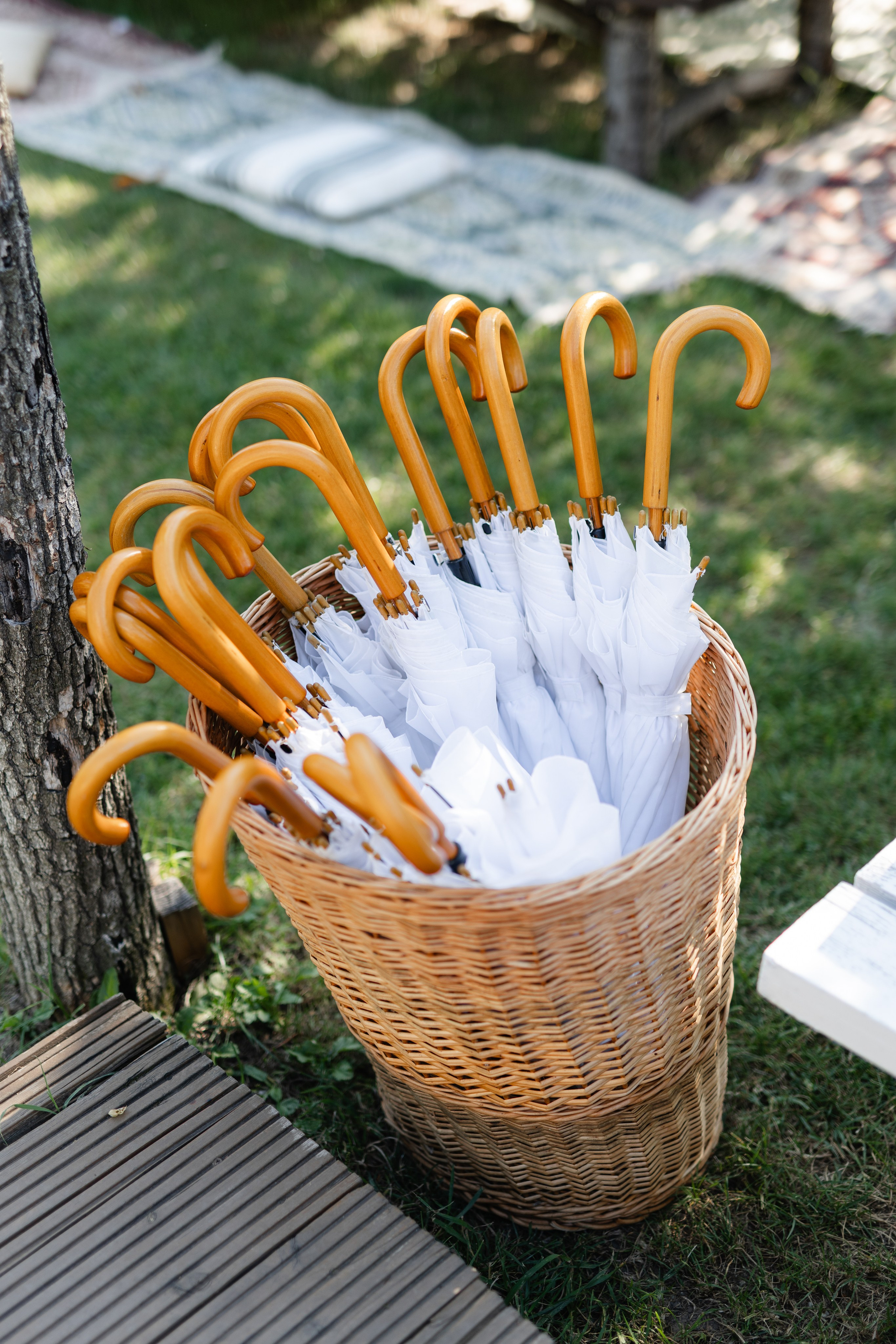 Natalia & Costin. Main