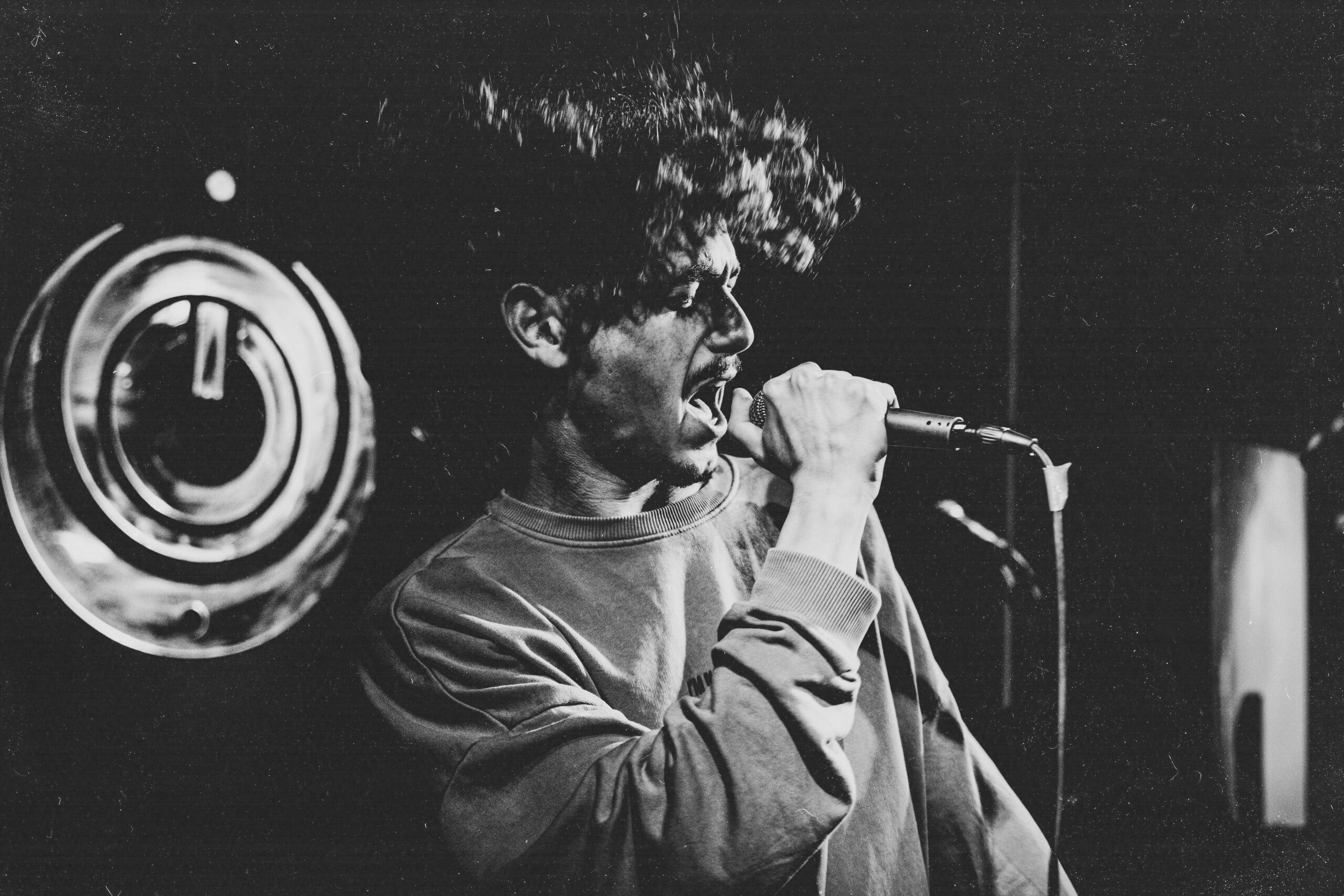 Shows. Noam Paradise Photographer