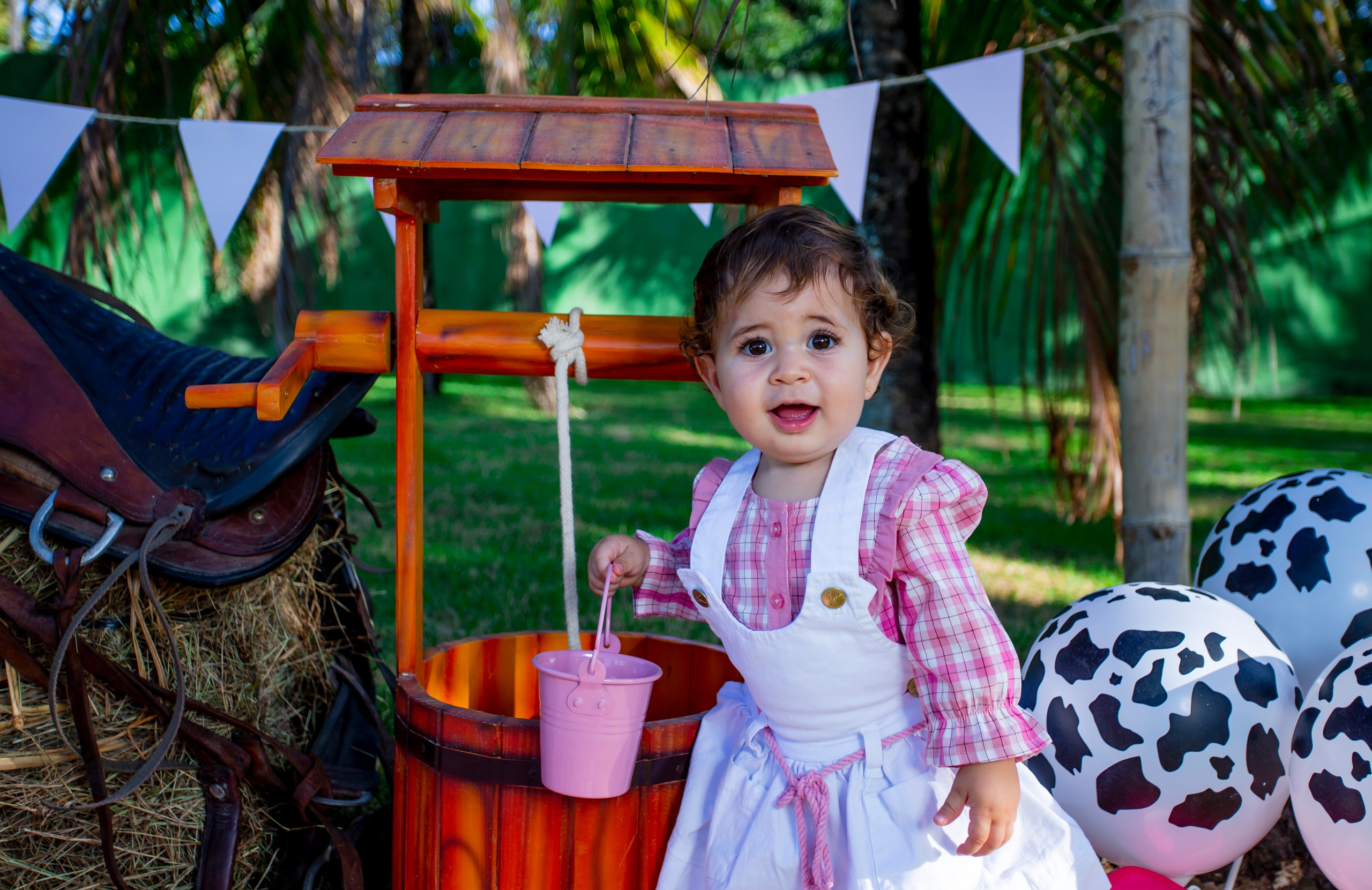 Ensaio Hanna 1 Ano. Flavio Nunes Fotografia (Fotografo especializado em Fotografia de 15 Anos e Ensaios)